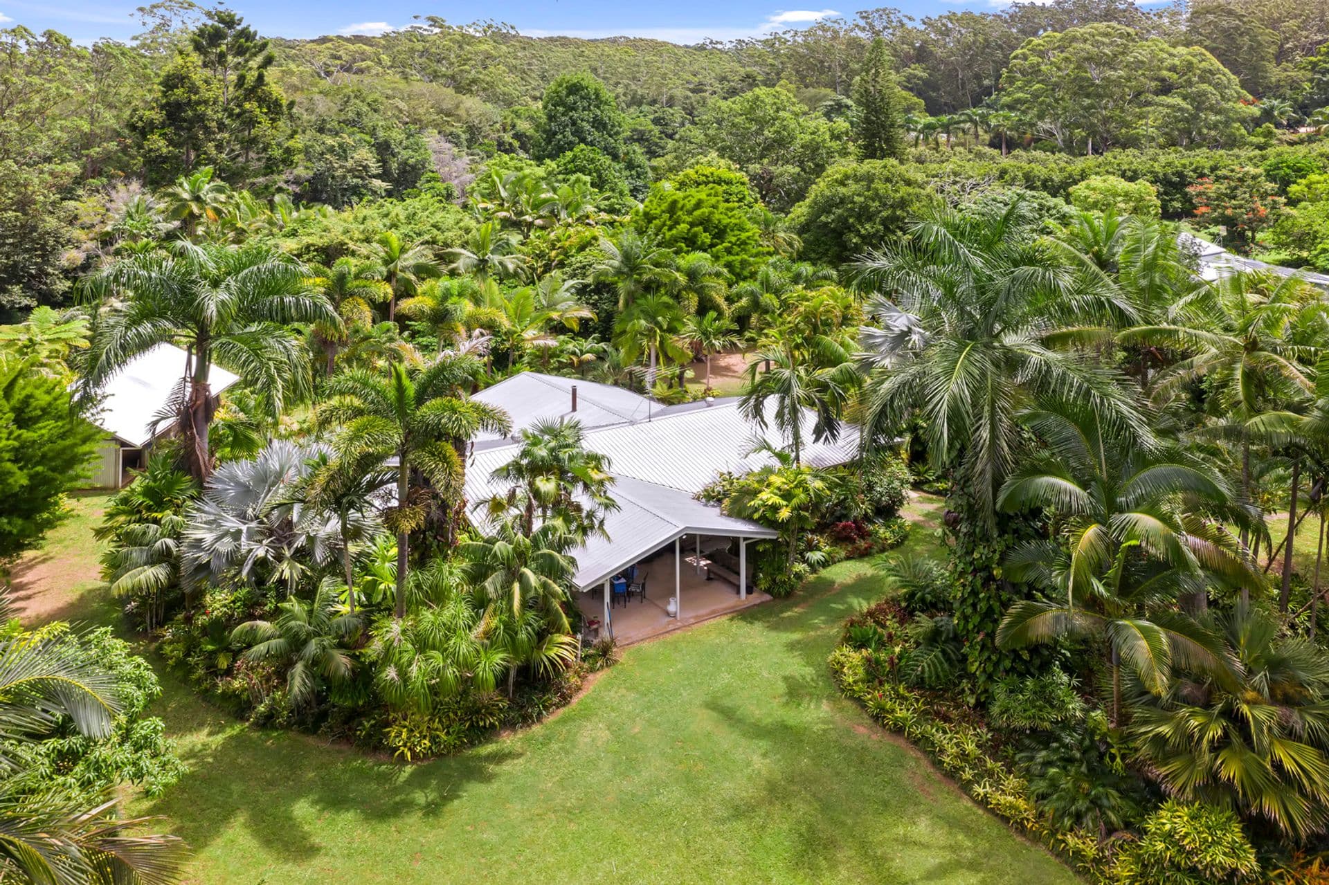 50 Bamboo Road, Palmwoods, QLD, 4555, Palmwoods - Image 1