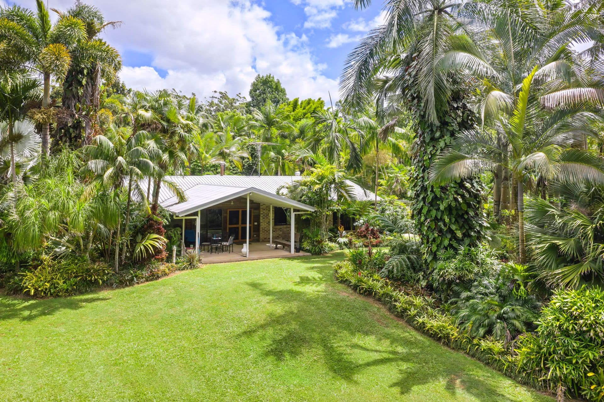 50 Bamboo Road, Palmwoods, QLD, 4555, Palmwoods - Thumbnail 5