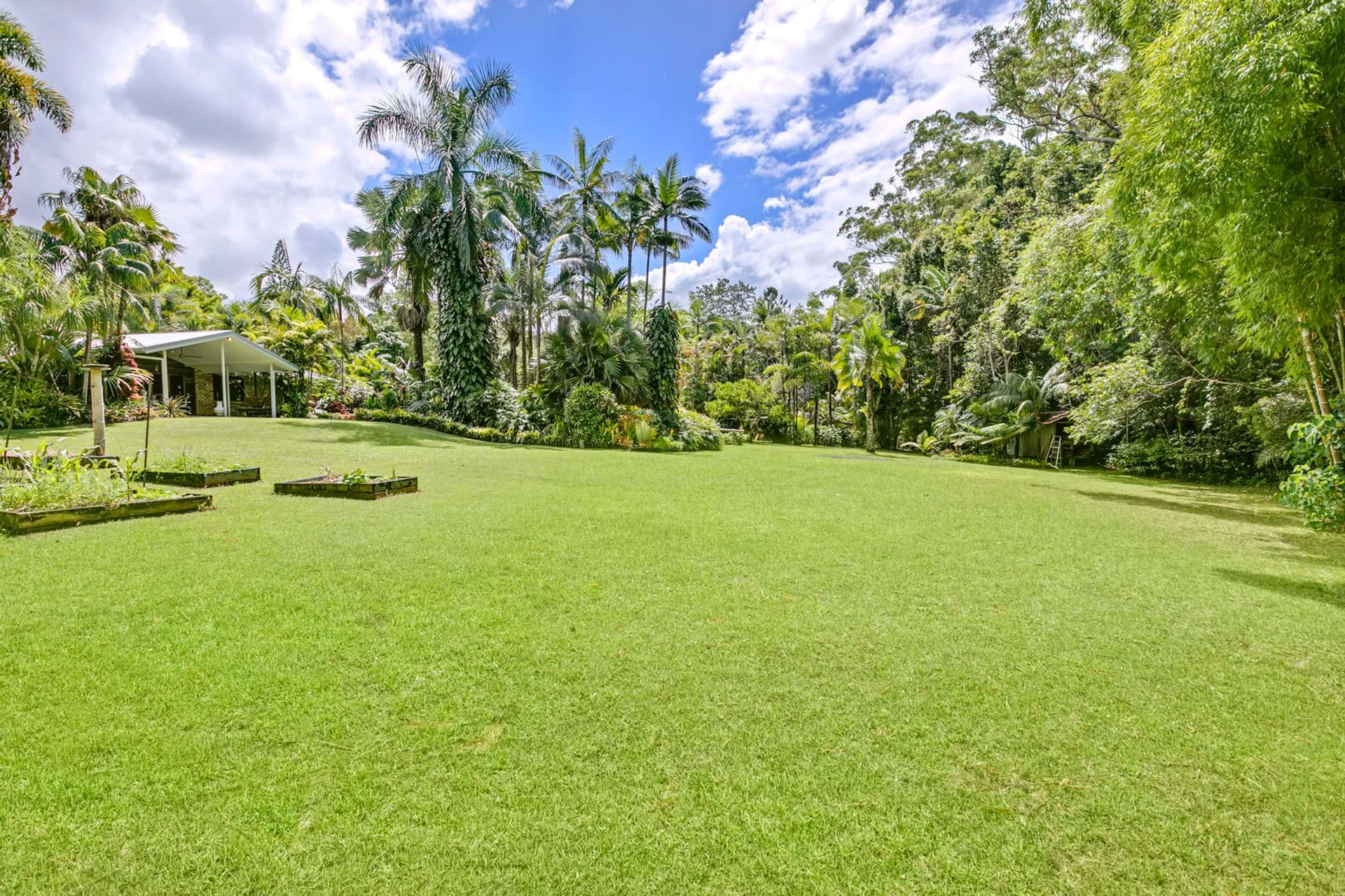 50 Bamboo Road, Palmwoods, QLD, 4555, Palmwoods - Thumbnail 4