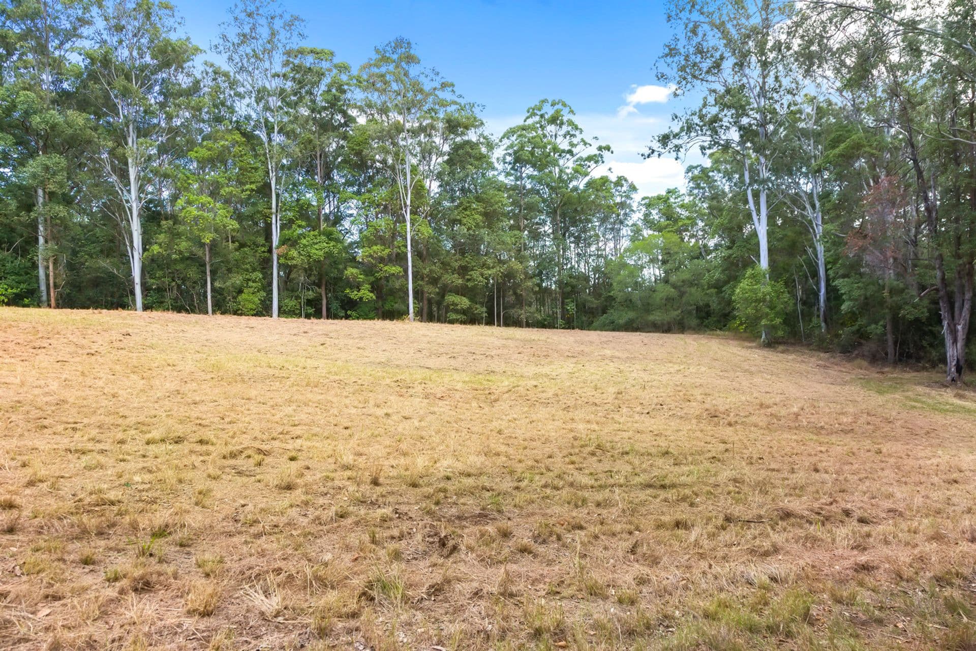 599 Blackall Range Road, West Woombye, QLD, 4559, West Woombye - Thumbnail 2