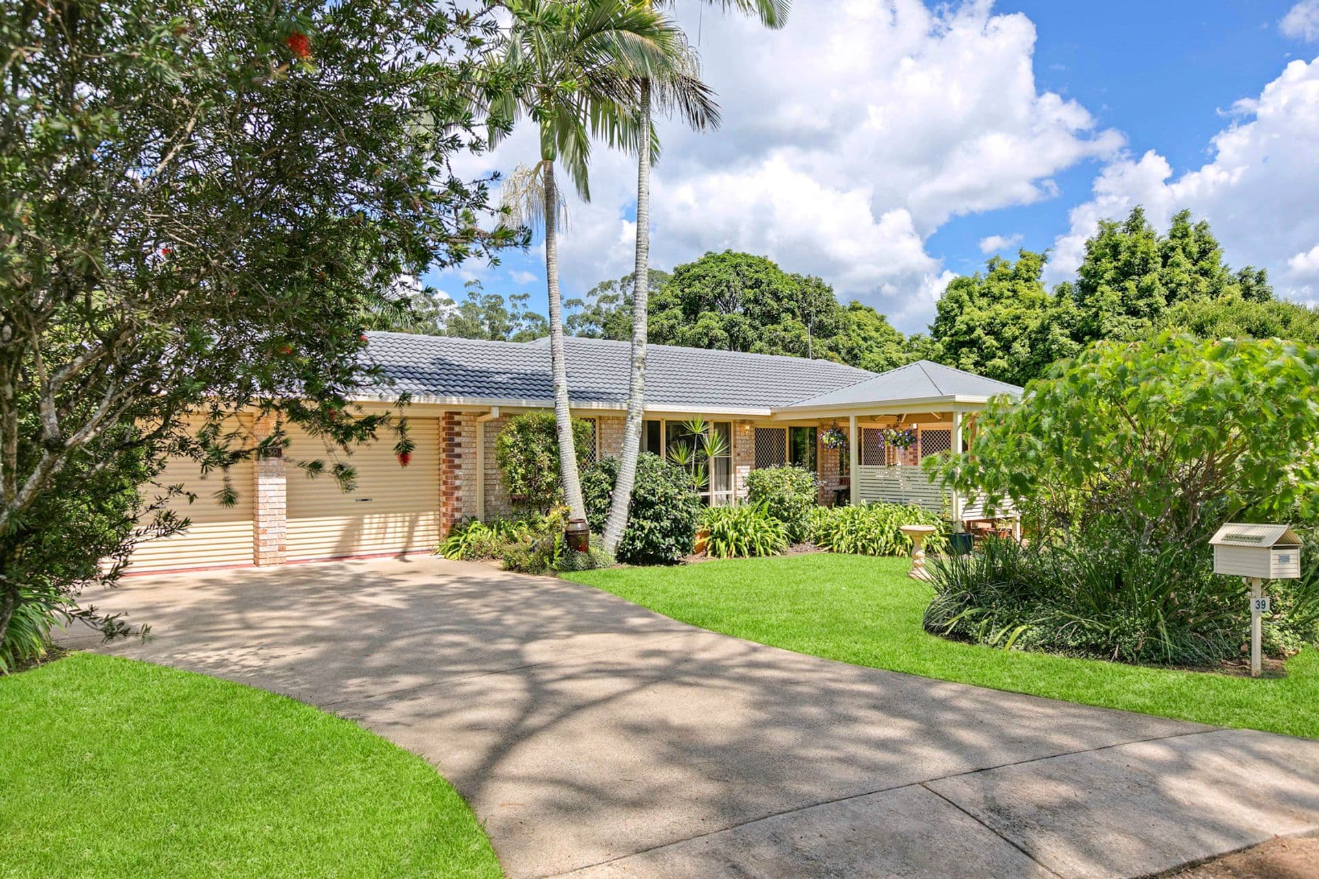 39 Stanley Street, Palmwoods, QLD, 4555, Palmwoods - Thumbnail 5