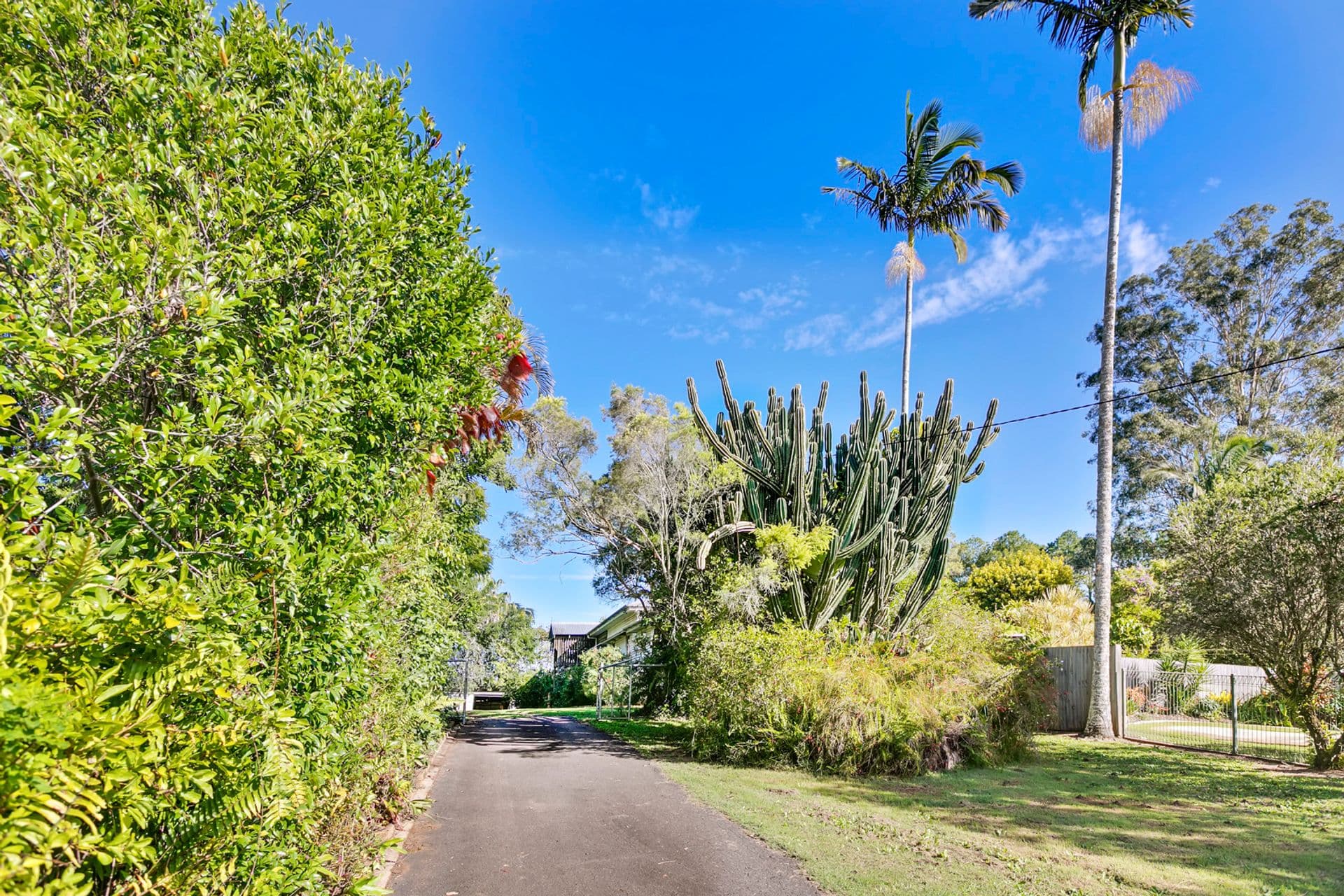 8 Keil Street, Woombye, QLD, 4559, Woombye - Thumbnail 3