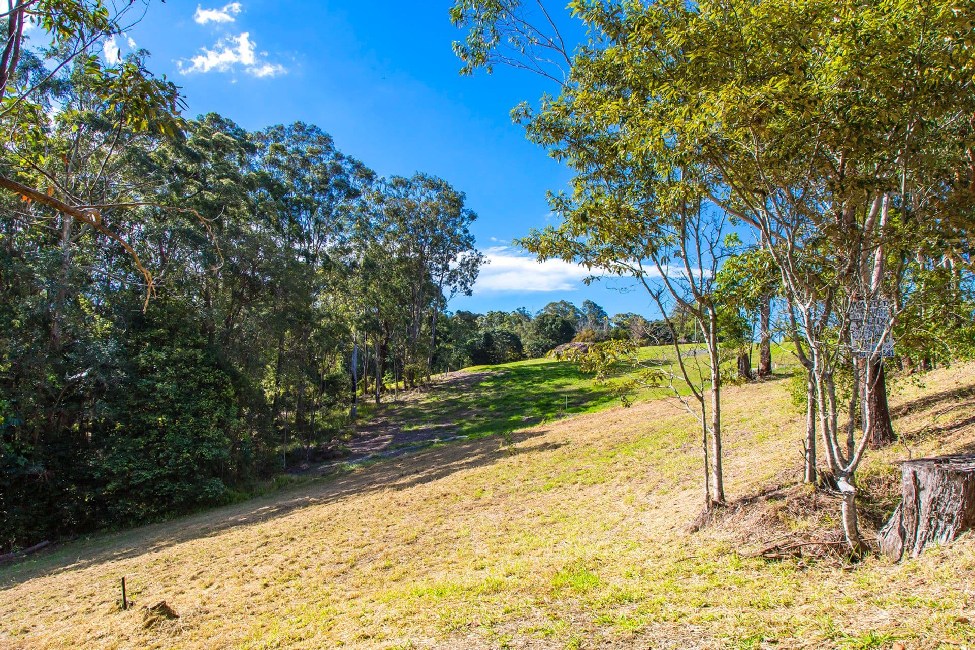 255 Kiel Mountain Road, Kiels Mountain, QLD, 4559, Kiels Mountain - Thumbnail 3