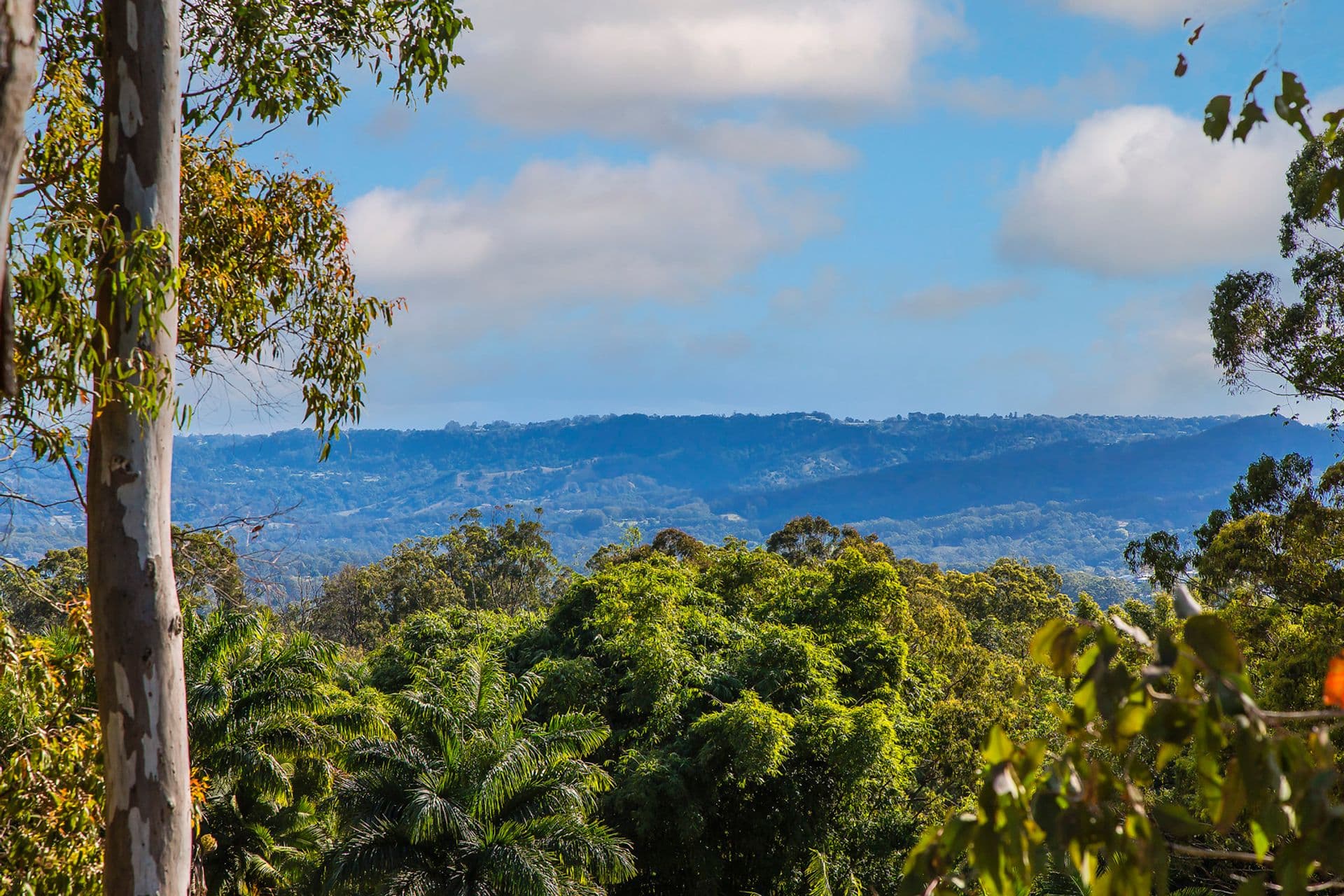 255 Kiel Mountain Road, Kiels Mountain, QLD, 4559, Kiels Mountain - Image 1