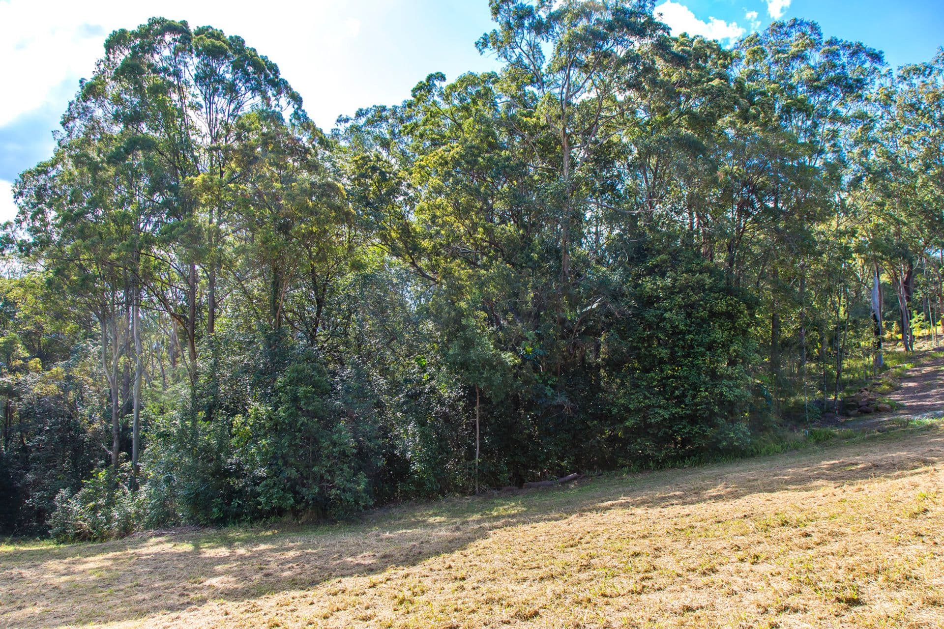 255 Kiel Mountain Road, Kiels Mountain, QLD, 4559, Kiels Mountain - Thumbnail 7