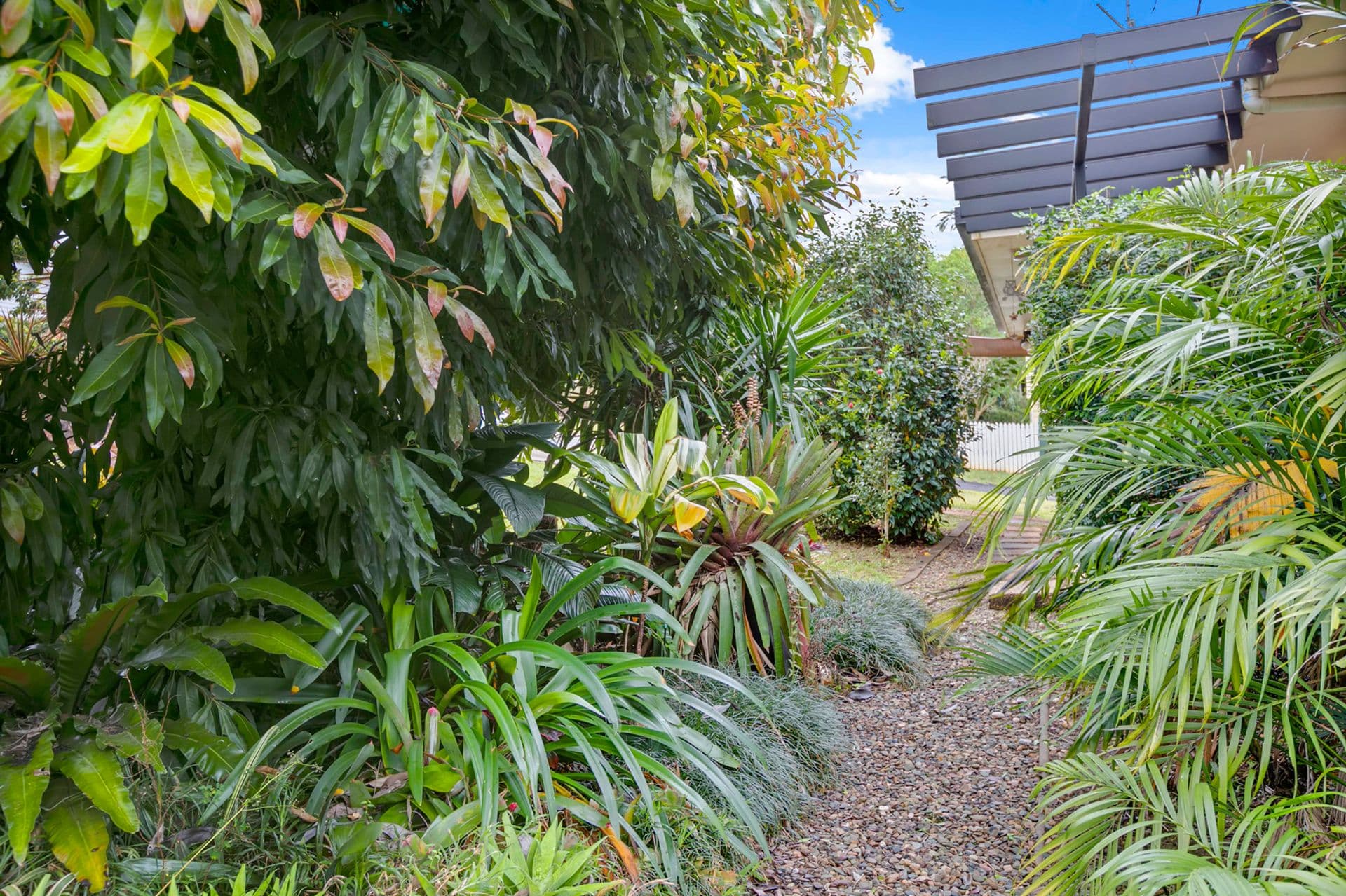 10 Dinmore Street, Woombye, QLD, 4559, Woombye - Thumbnail 5
