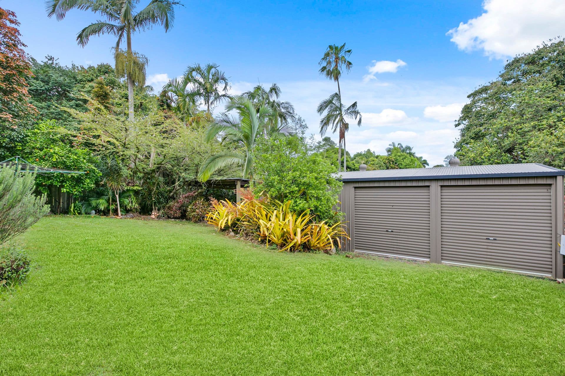 10 Dinmore Street, Woombye, QLD, 4559, Woombye - Thumbnail 3