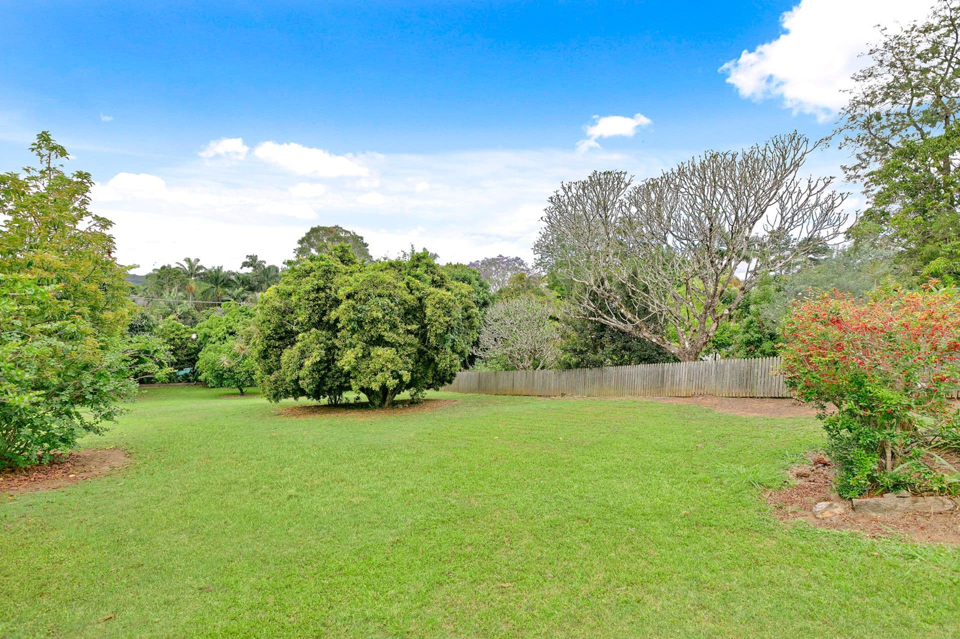 43 Blackall Street, Woombye, QLD, 4559, Woombye - Thumbnail 4