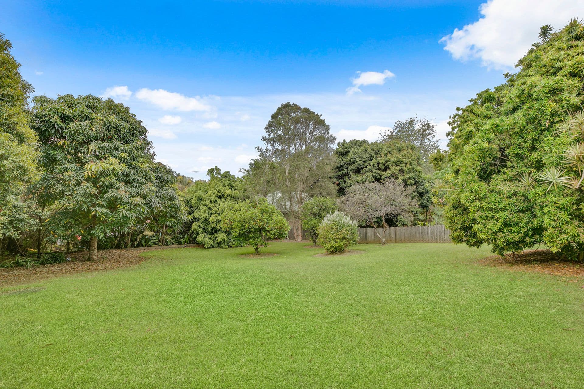 43 Blackall Street, Woombye, QLD, 4559, Woombye - Thumbnail 2