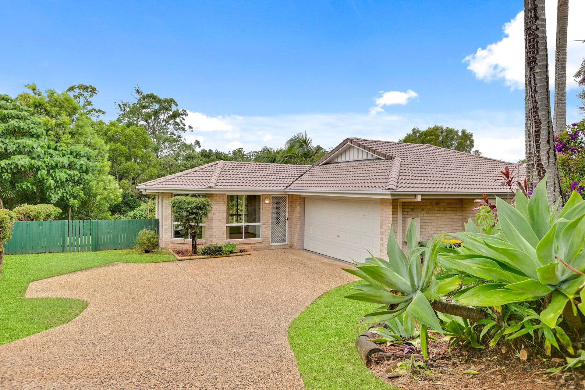 29 Starkey Street, Palmwoods, QLD, 4555, Palmwoods - Image 1