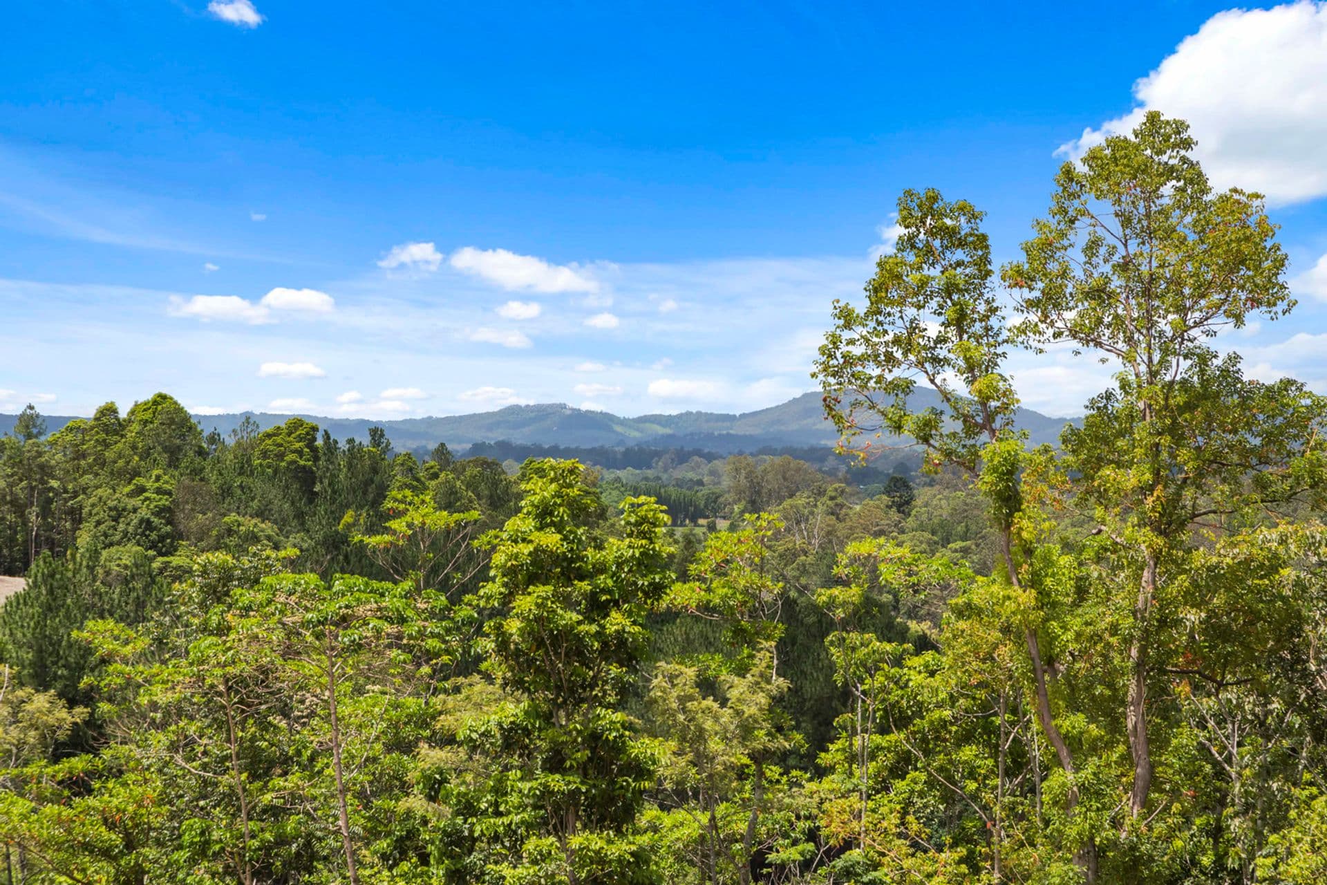 Lot 5 Crescent Road, Eumundi, QLD, 4562, Eumundi - Thumbnail 3