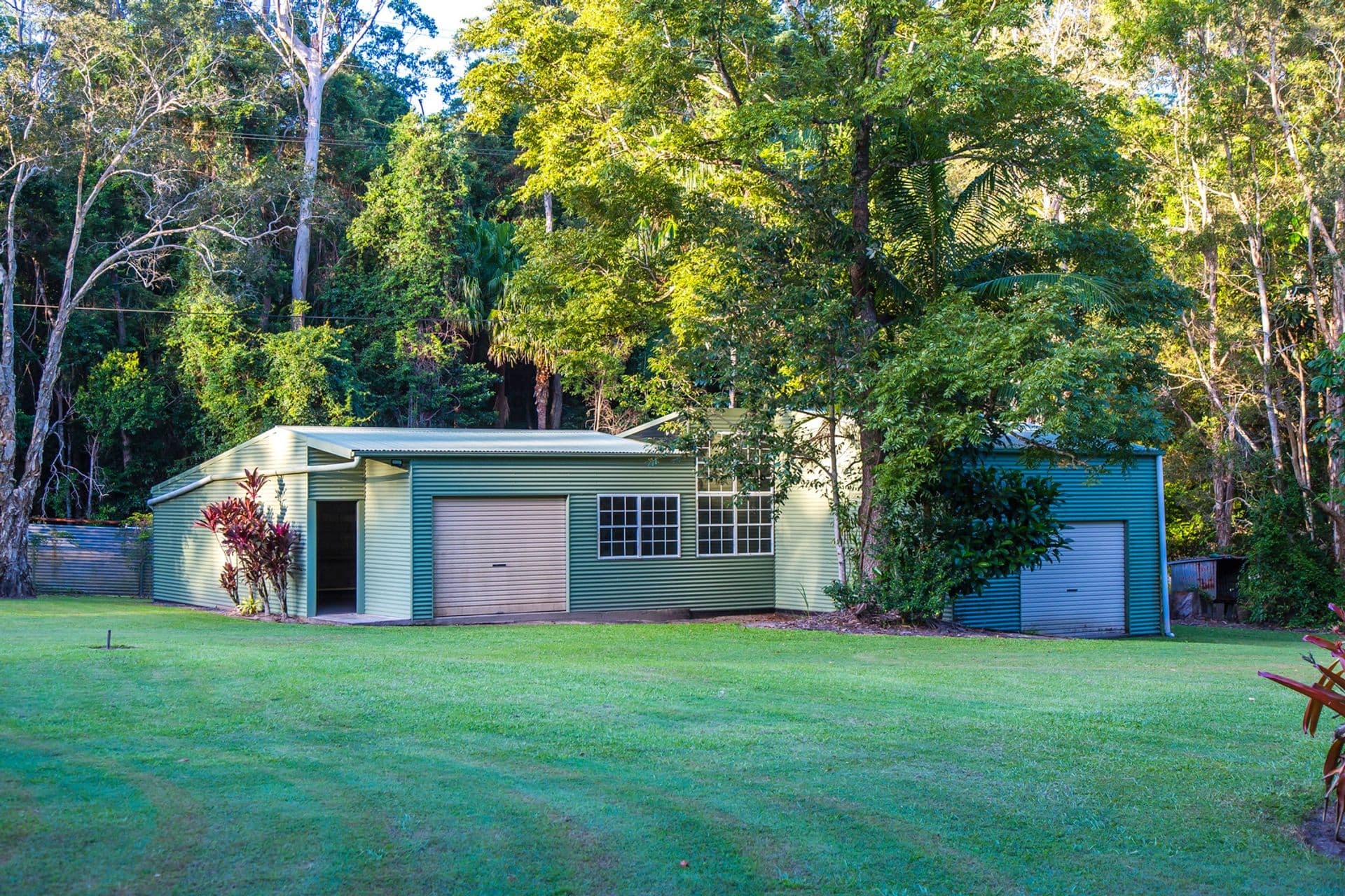 41 Rainforest Road, Tanawha, QLD, 4556, Tanawha - Thumbnail 6