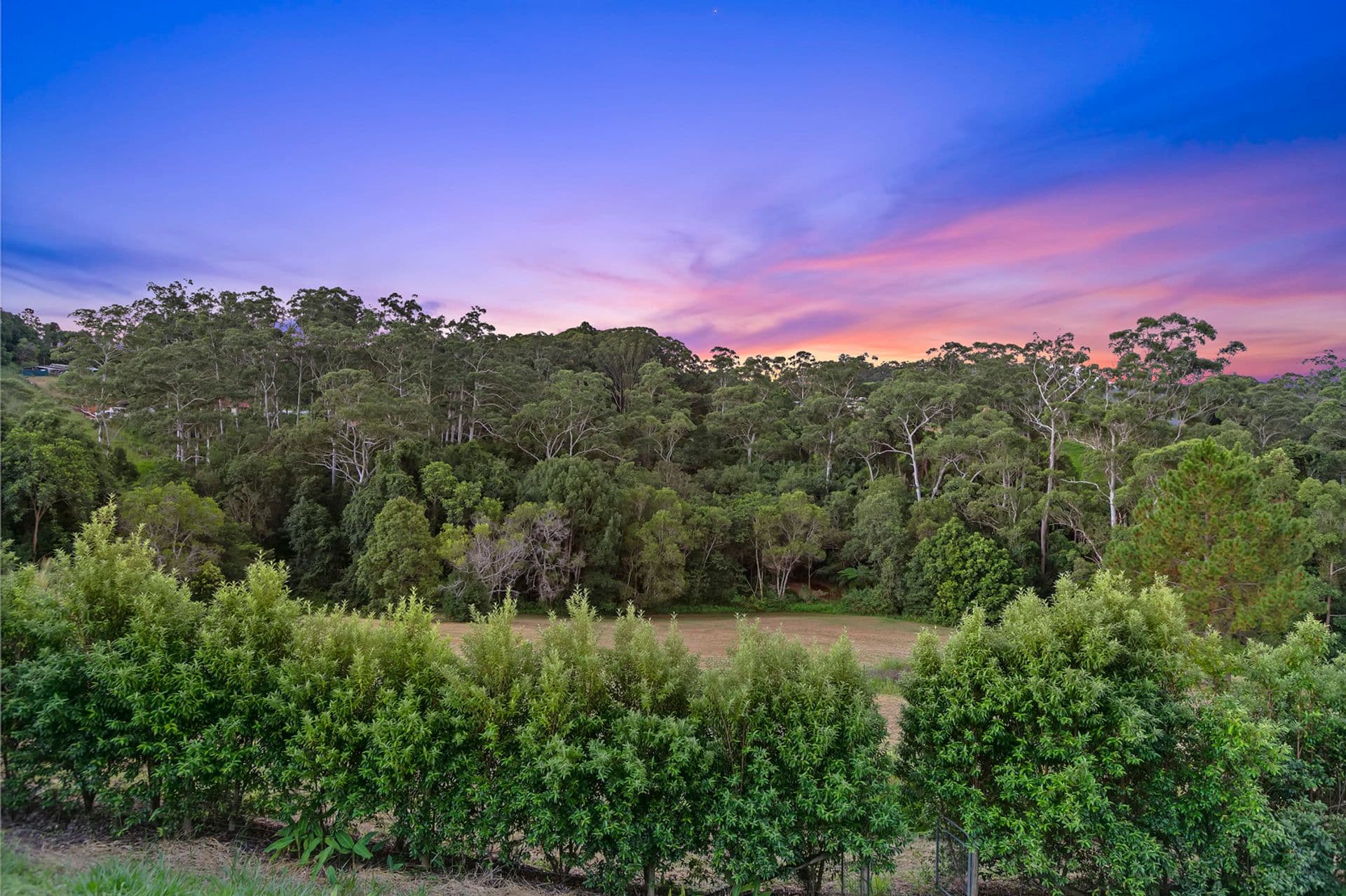 15 Hilary Crescent, Woombye, QLD, 4559, Woombye - Thumbnail 8