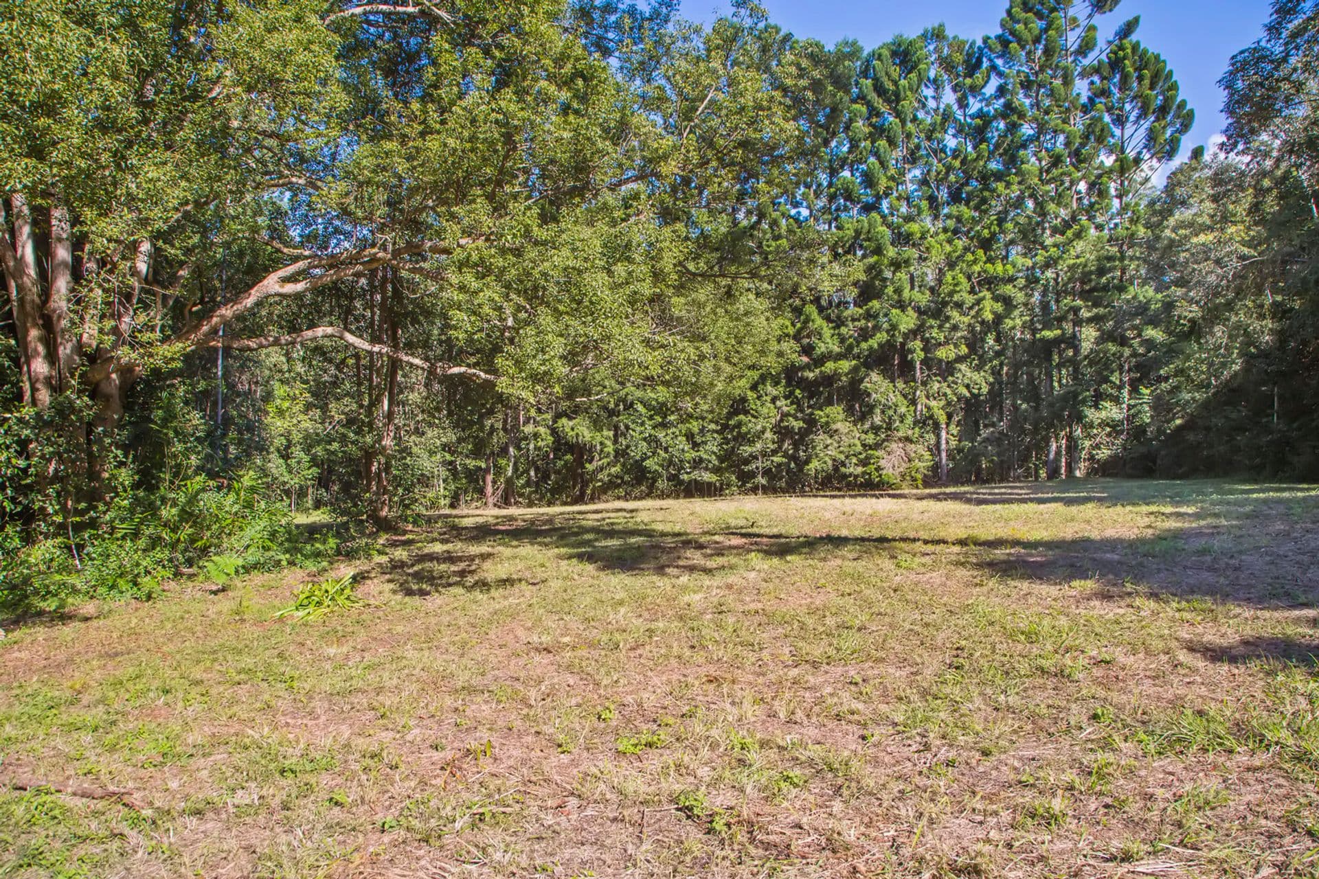 87A Mckees Road, Palmwoods, QLD, 4555, Palmwoods - Thumbnail 4