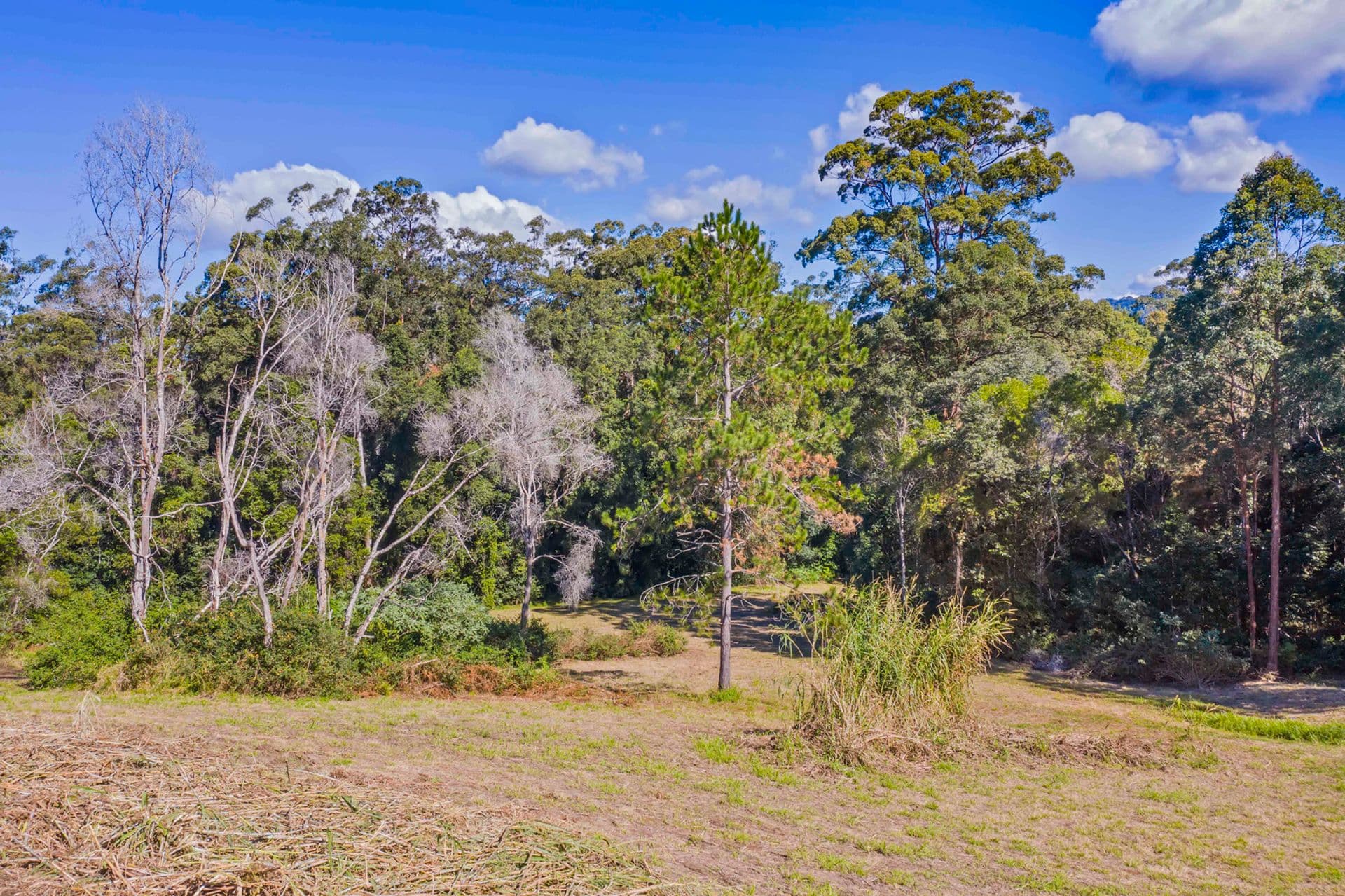 87A Mckees Road, Palmwoods, QLD, 4555, Palmwoods - Thumbnail 6