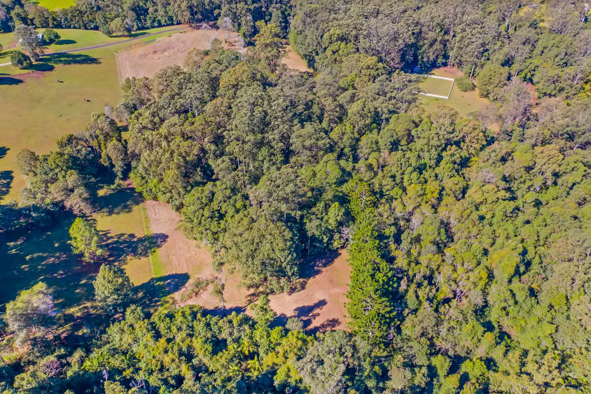 87A Mckees Road, Palmwoods, QLD, 4555, Palmwoods - Thumbnail 7