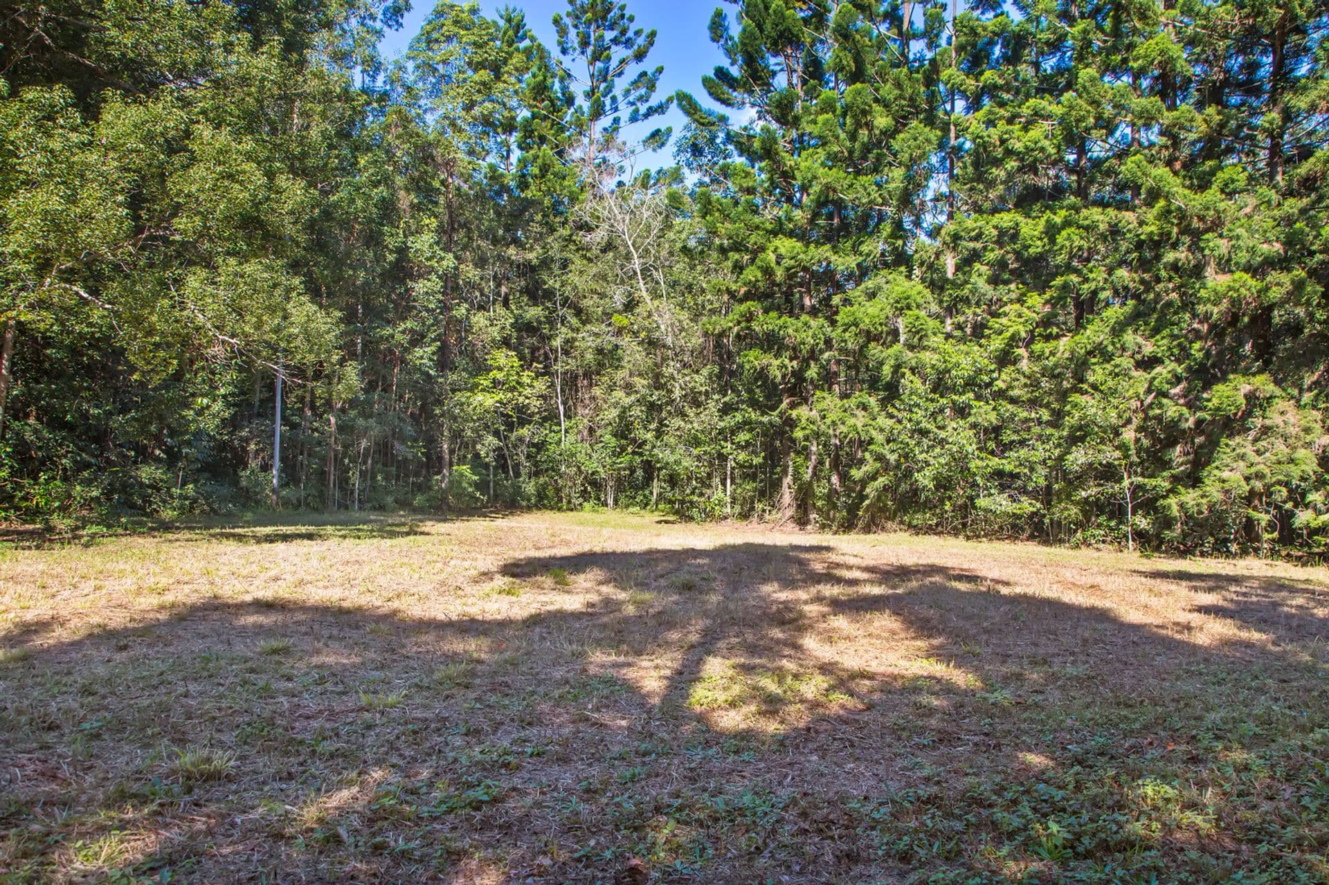 87A Mckees Road, Palmwoods, QLD, 4555, Palmwoods - Thumbnail 3
