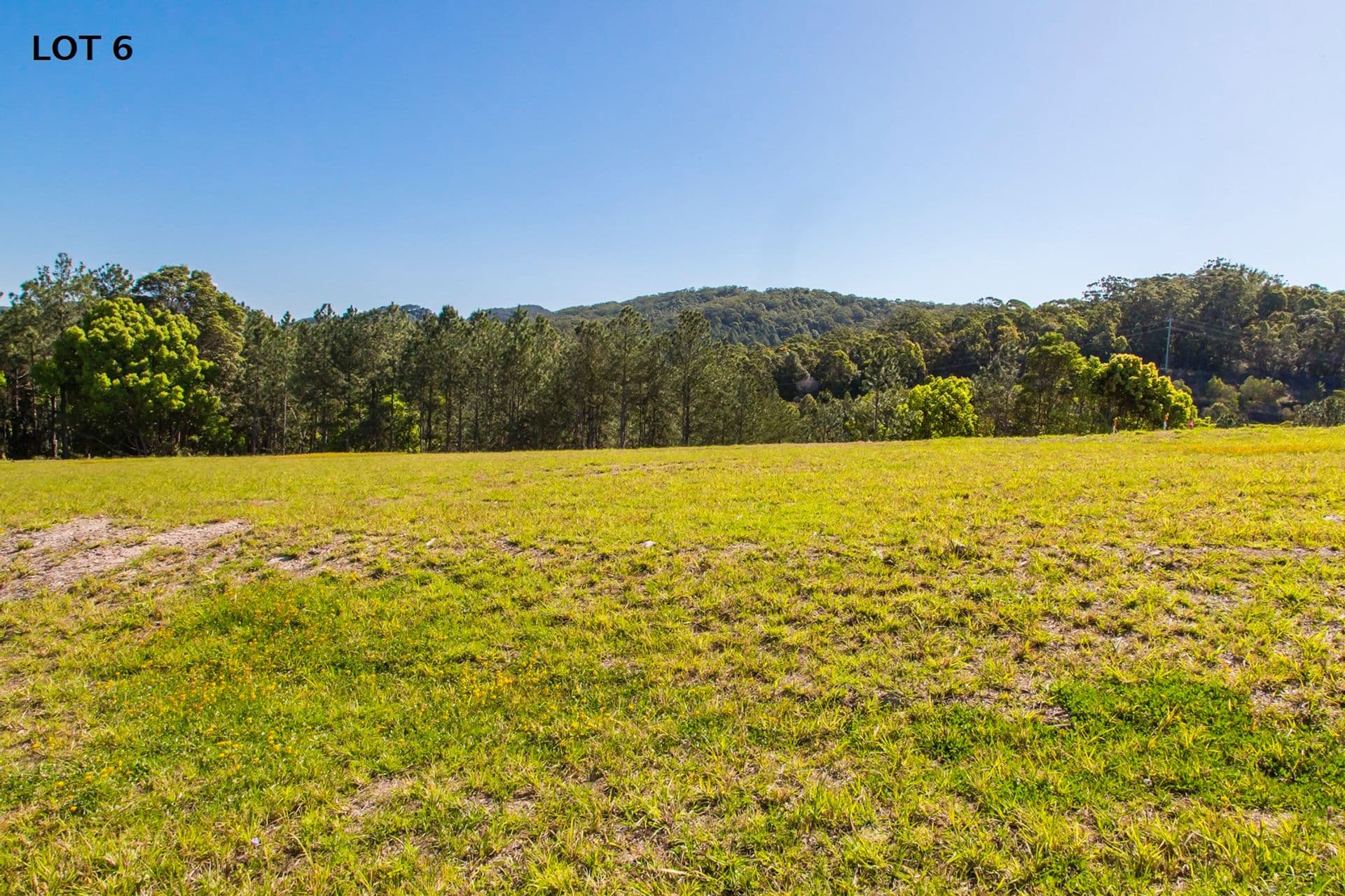 12 Powers Court, Eumundi, QLD, 4562, Eumundi - Thumbnail 2