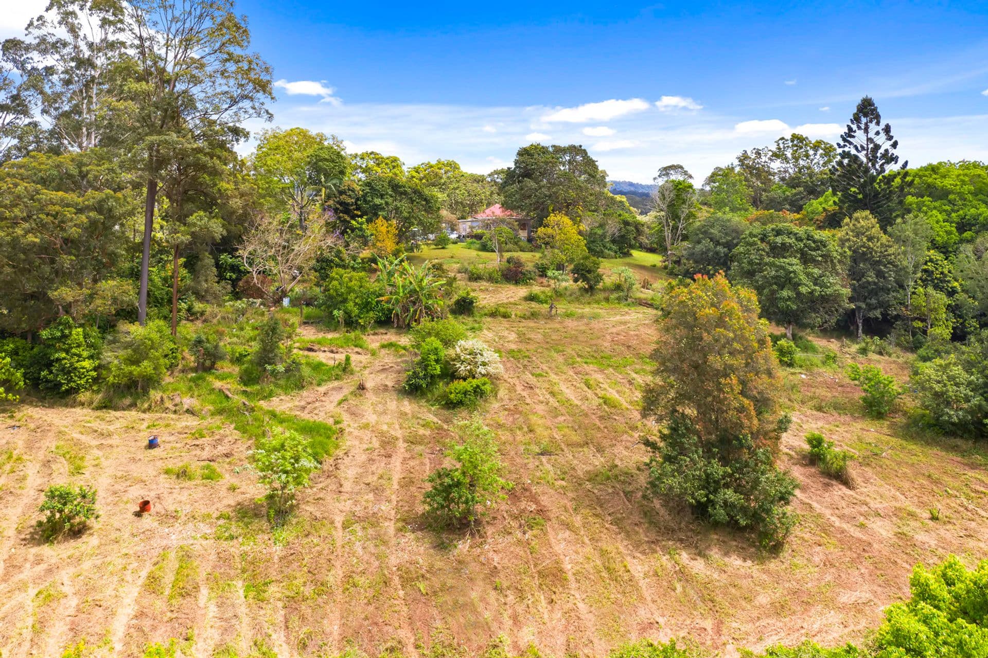 91 Old Palmwoods Road, West Woombye, QLD, 4559, West Woombye - Thumbnail 5
