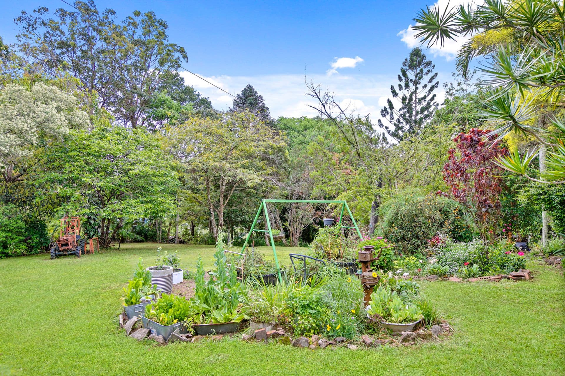 91 Old Palmwoods Road, West Woombye, QLD, 4559, West Woombye - Thumbnail 4