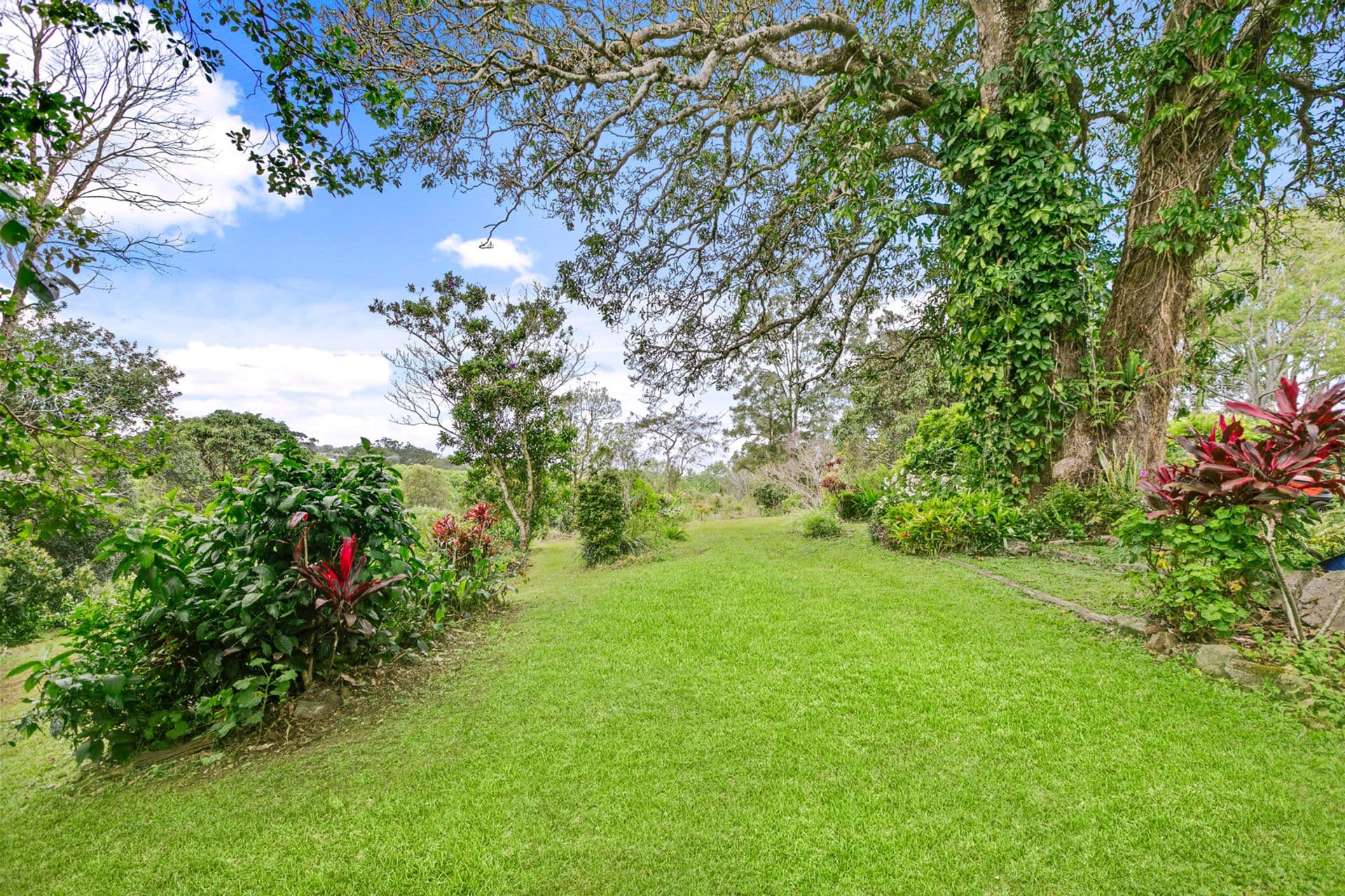 91 Old Palmwoods Road, West Woombye, QLD, 4559, West Woombye - Thumbnail 2