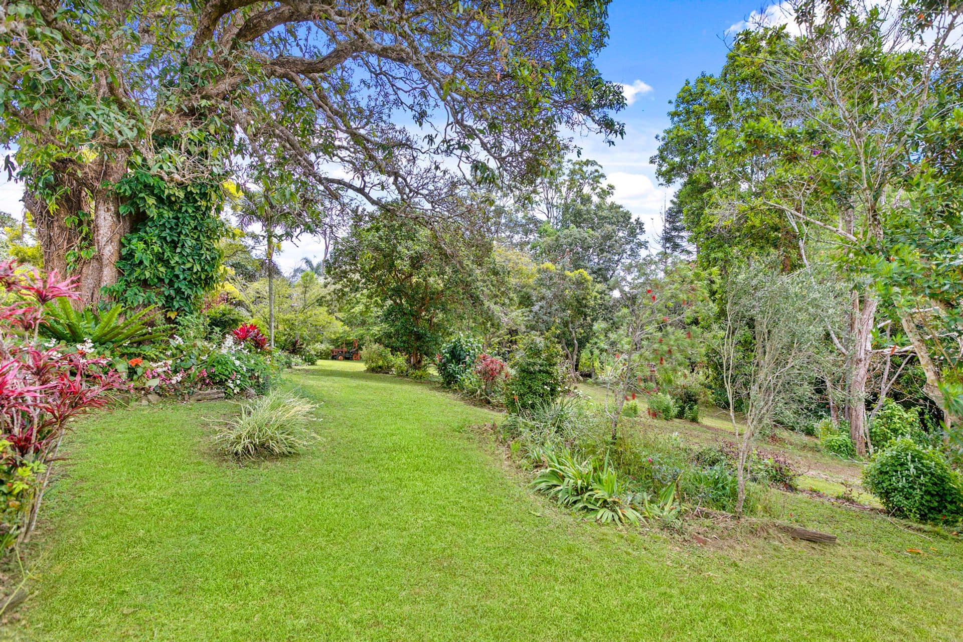 91 Old Palmwoods Road, West Woombye, QLD, 4559, West Woombye - Thumbnail 3
