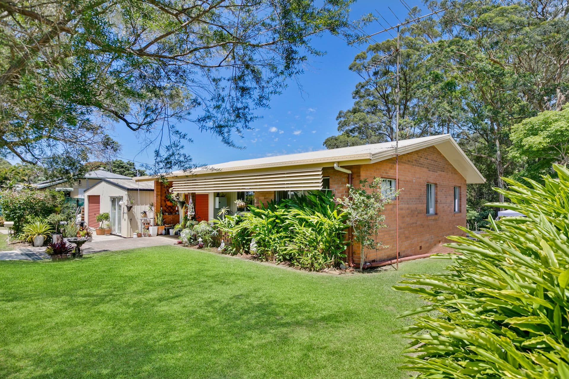 9 Mary Street, Palmwoods, QLD, 4555, Palmwoods - Image 1