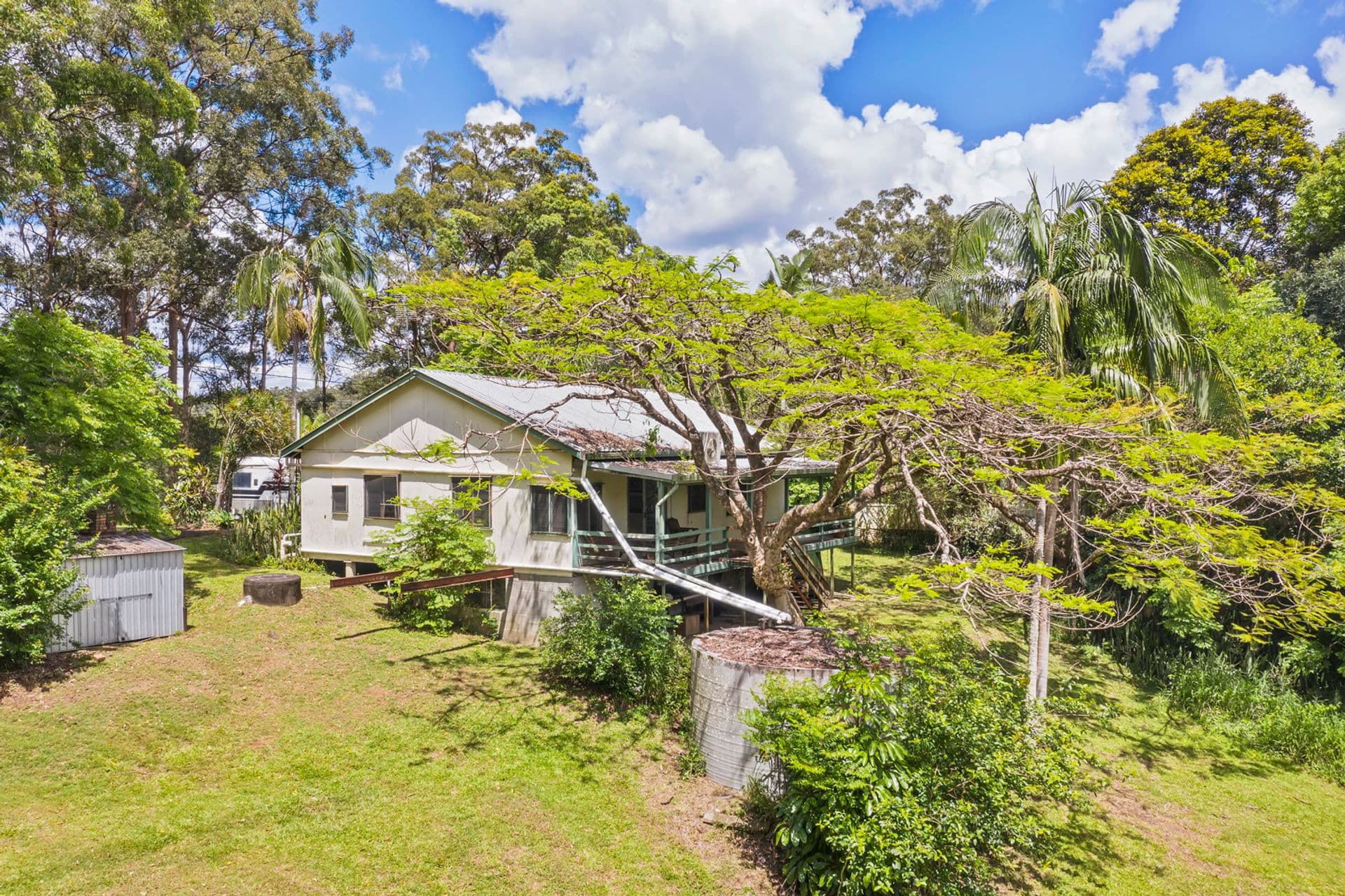 1 Banyan Road, Eudlo, QLD, 4554, Eudlo - Thumbnail 4