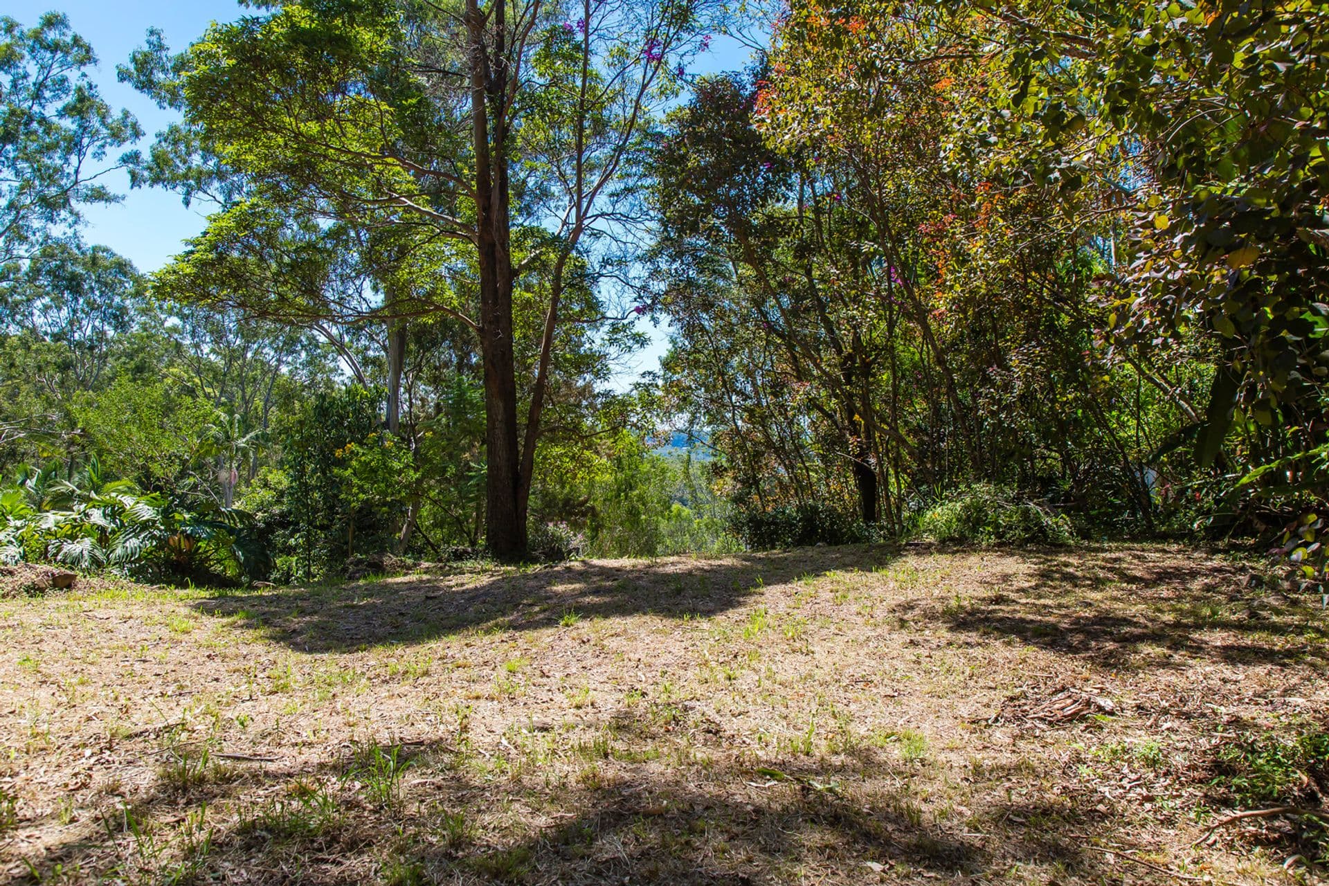 45 Meher Road, Kiels Mountain, QLD, 4559, Kiels Mountain - Thumbnail 2