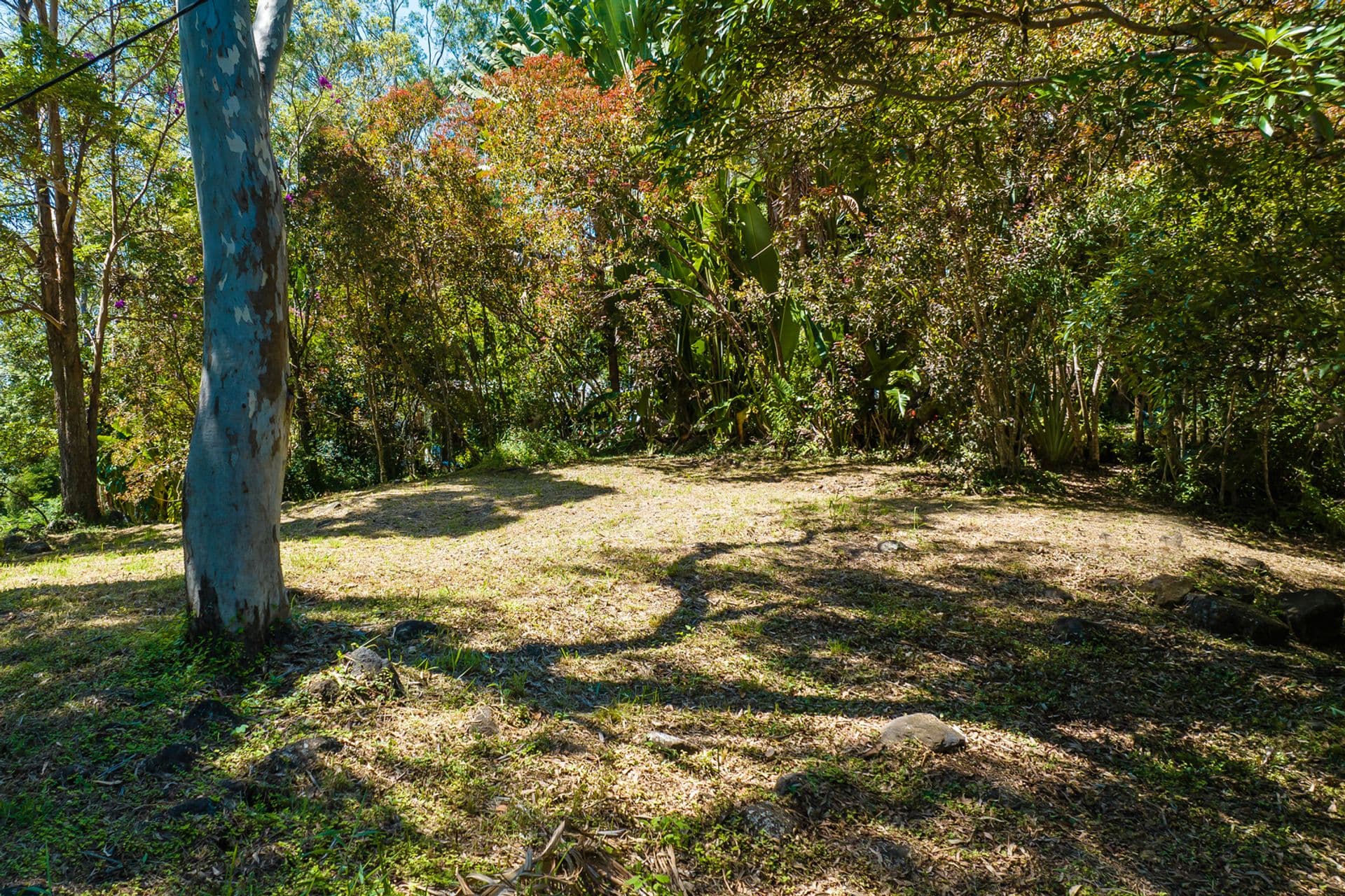 45 Meher Road, Kiels Mountain, QLD, 4559, Kiels Mountain - Thumbnail 3