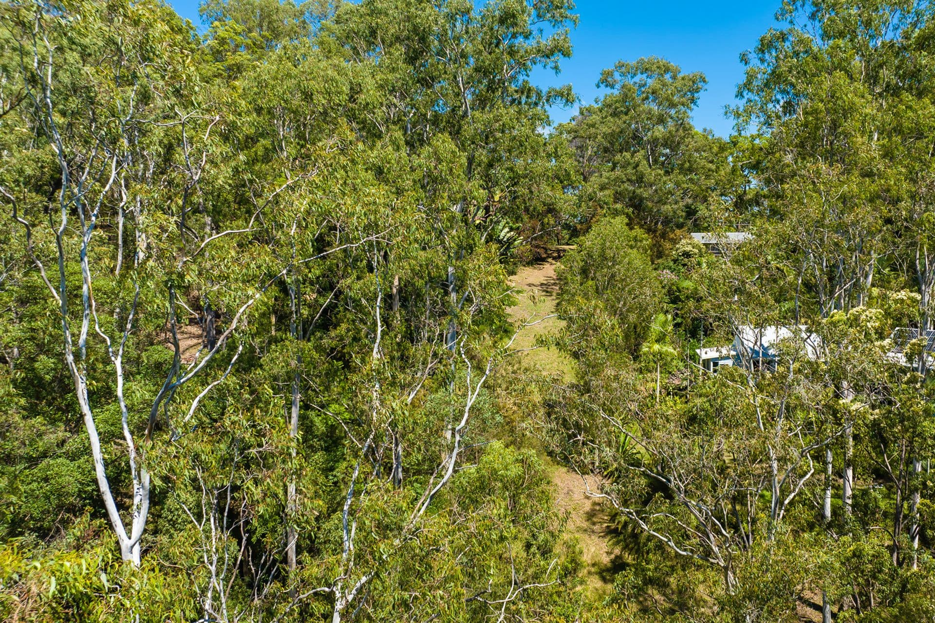 45 Meher Road, Kiels Mountain, QLD, 4559, Kiels Mountain - Thumbnail 6