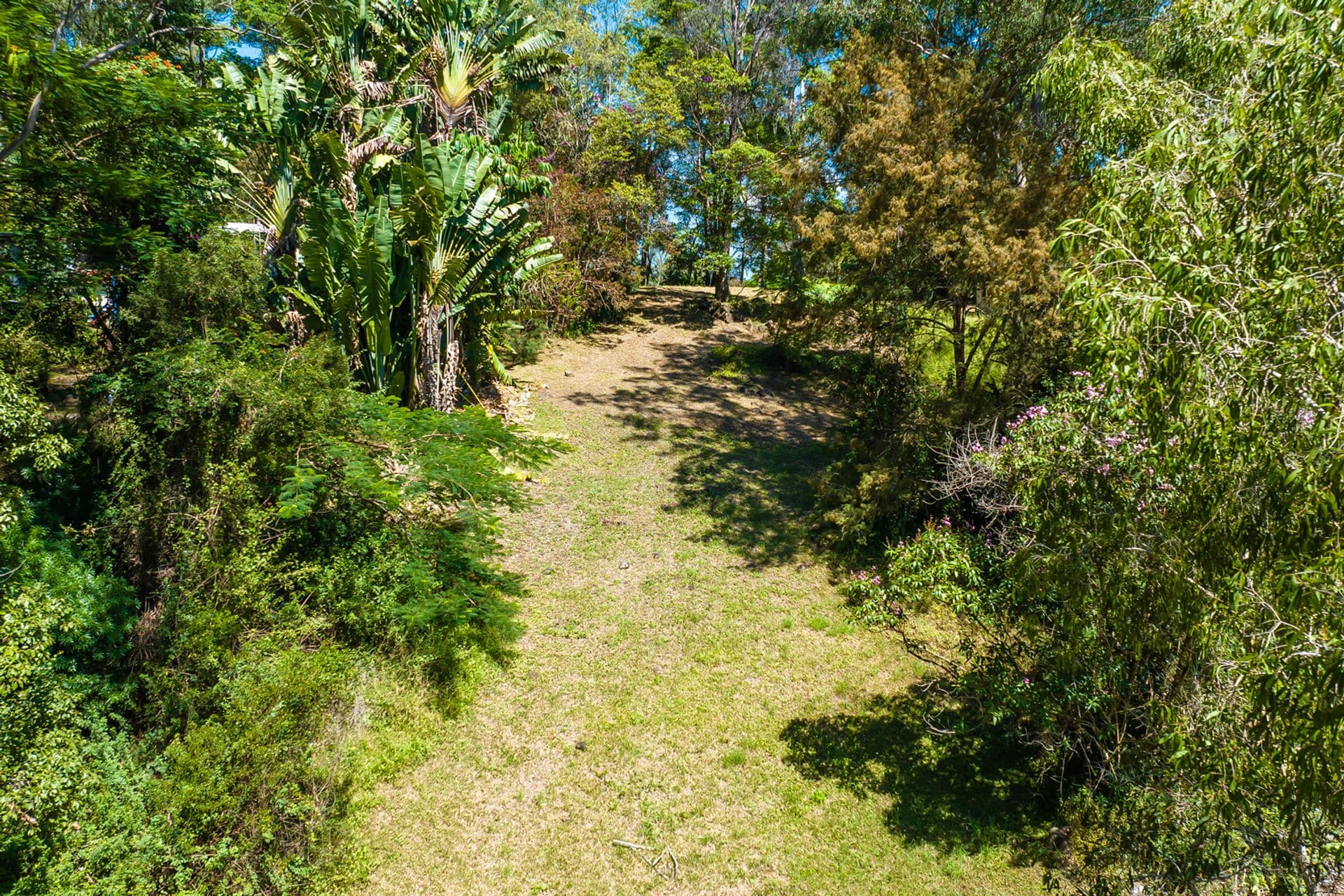 45 Meher Road, Kiels Mountain, QLD, 4559, Kiels Mountain - Thumbnail 4