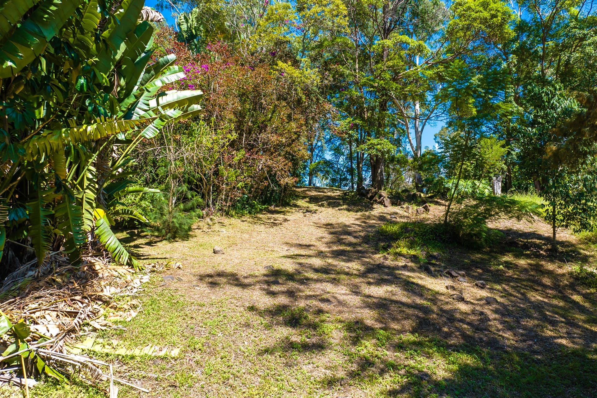 45 Meher Road, Kiels Mountain, QLD, 4559, Kiels Mountain - Thumbnail 5