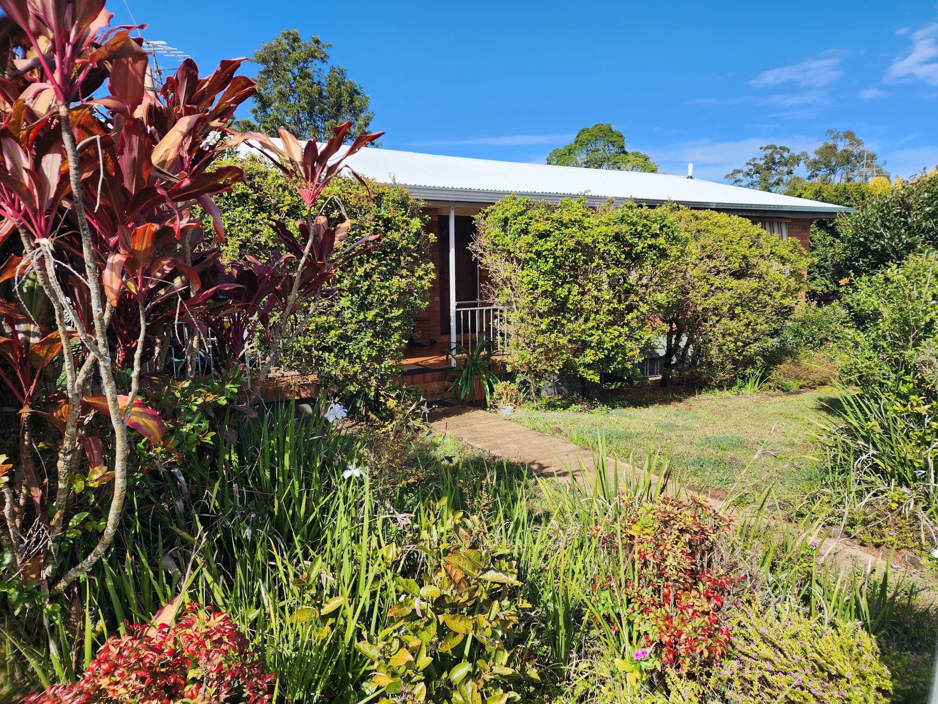 11 Junee Court, Woombye, QLD, 4559, Woombye - Image 1