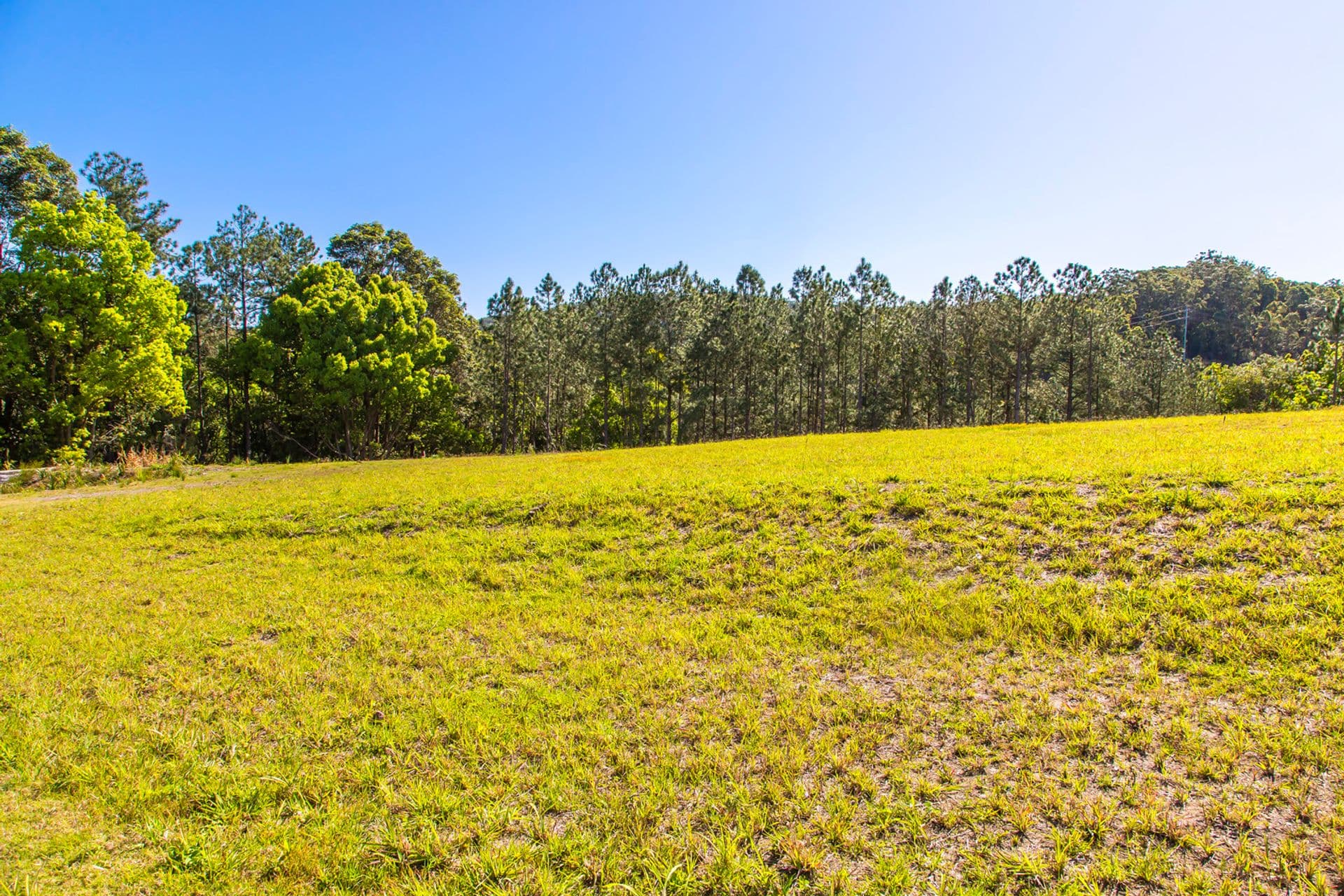 16 Powers Court, Eumundi, QLD, 4562, Eumundi - Thumbnail 3