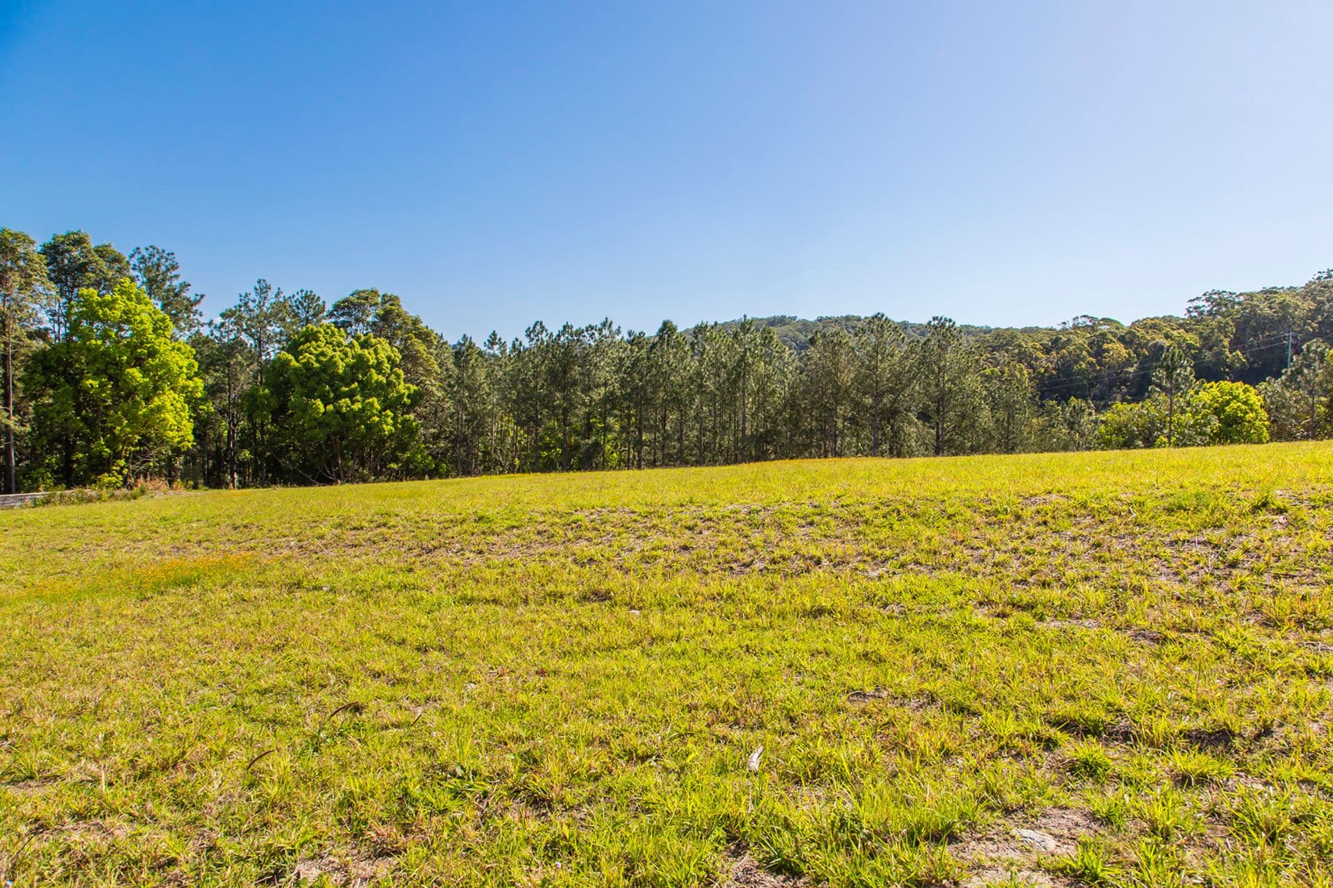 14 Powers Court, Eumundi, QLD, 4562, Eumundi - Image 1