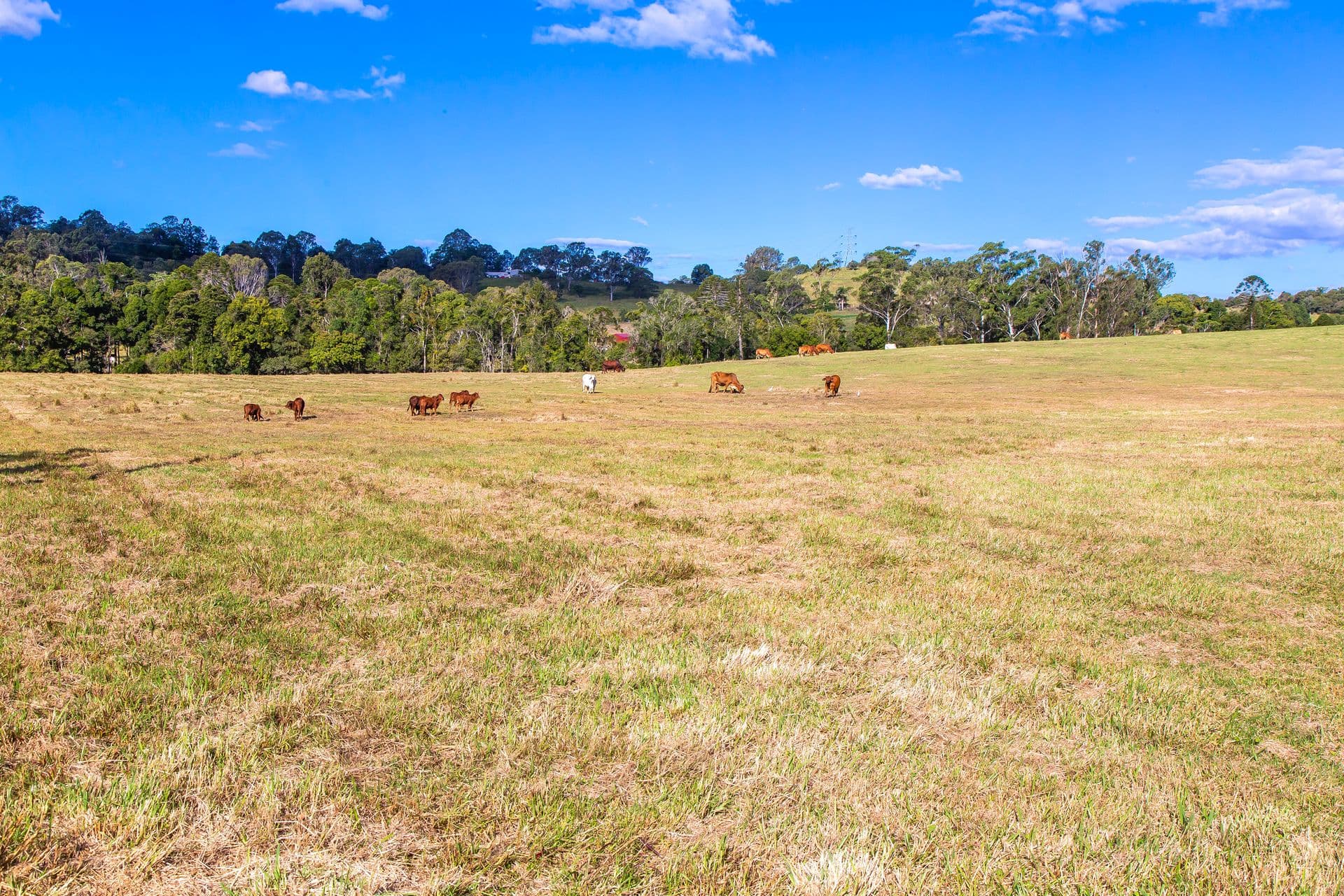 15 Perry Road, Image Flat, QLD, 4560, Image Flat - Thumbnail 4