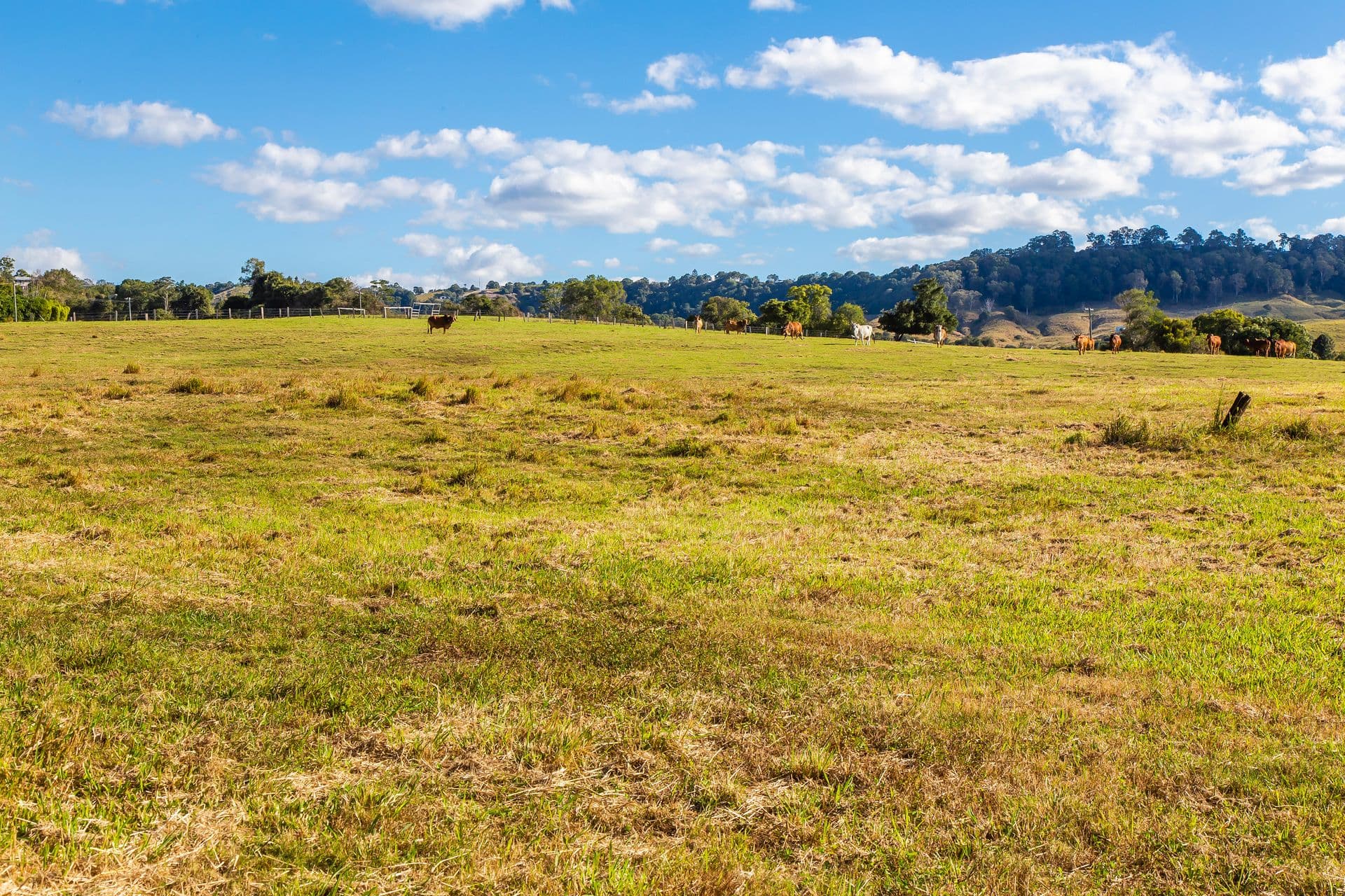 15 Perry Road, Image Flat, QLD, 4560, Image Flat - Thumbnail 7