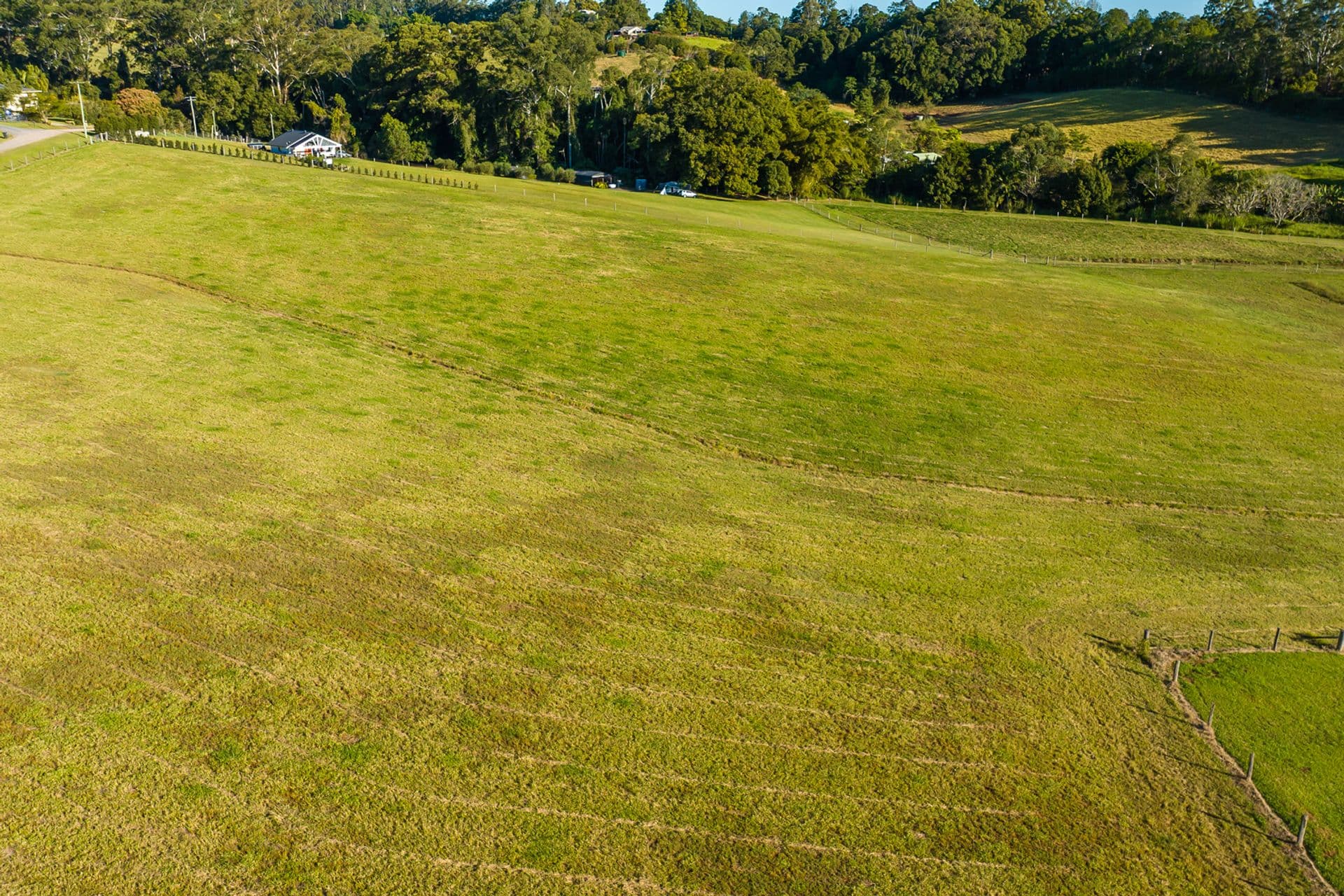 8 Moorhouse Road, Woombye, QLD, 4559, Woombye - Thumbnail 7