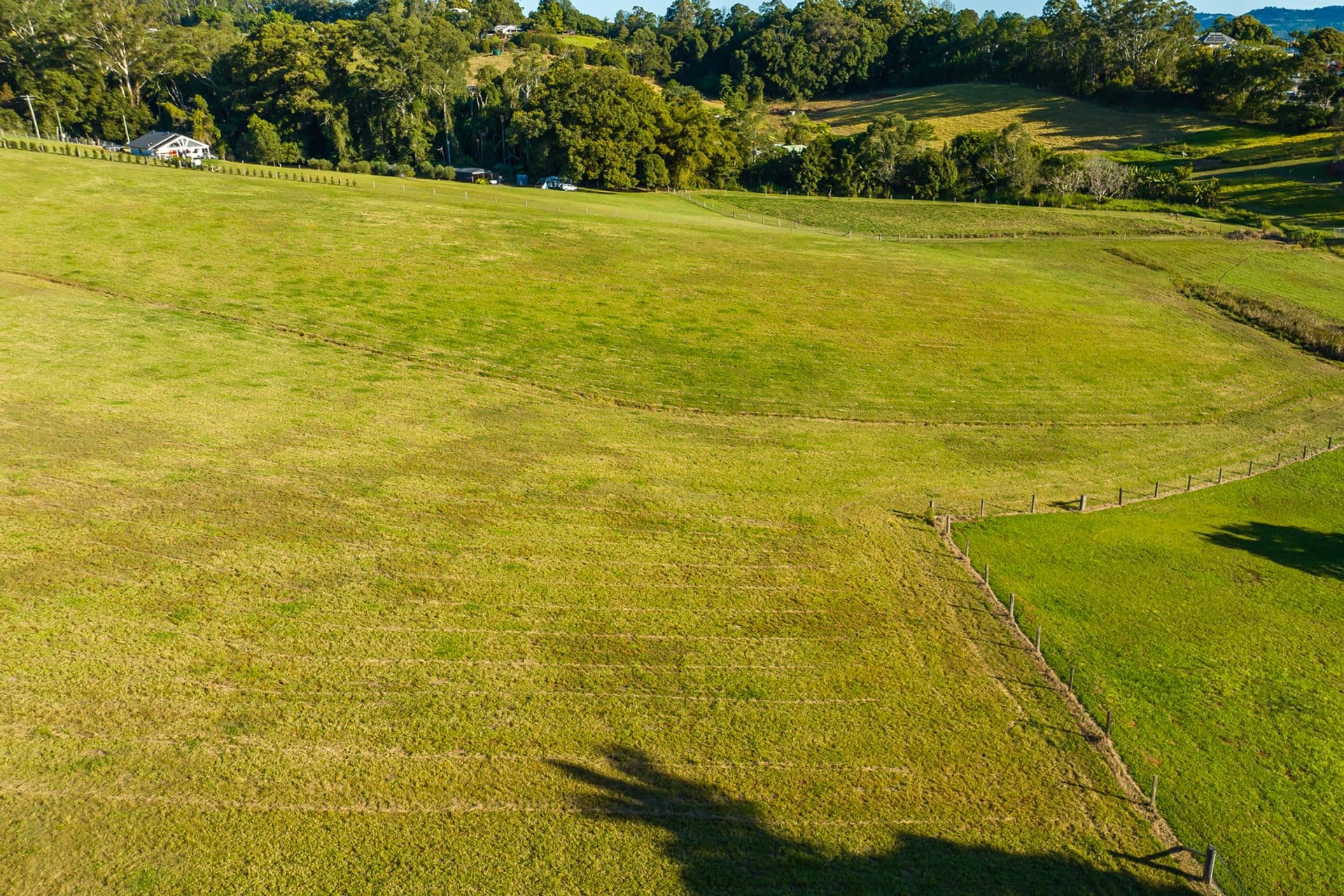 8 Moorhouse Road, Woombye, QLD, 4559, Woombye - Thumbnail 8