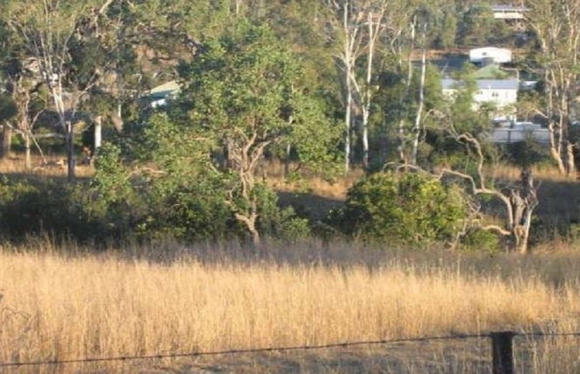 20 Clarence Street, Cooyar, QLD, 4402, Cooyar - Thumbnail 2