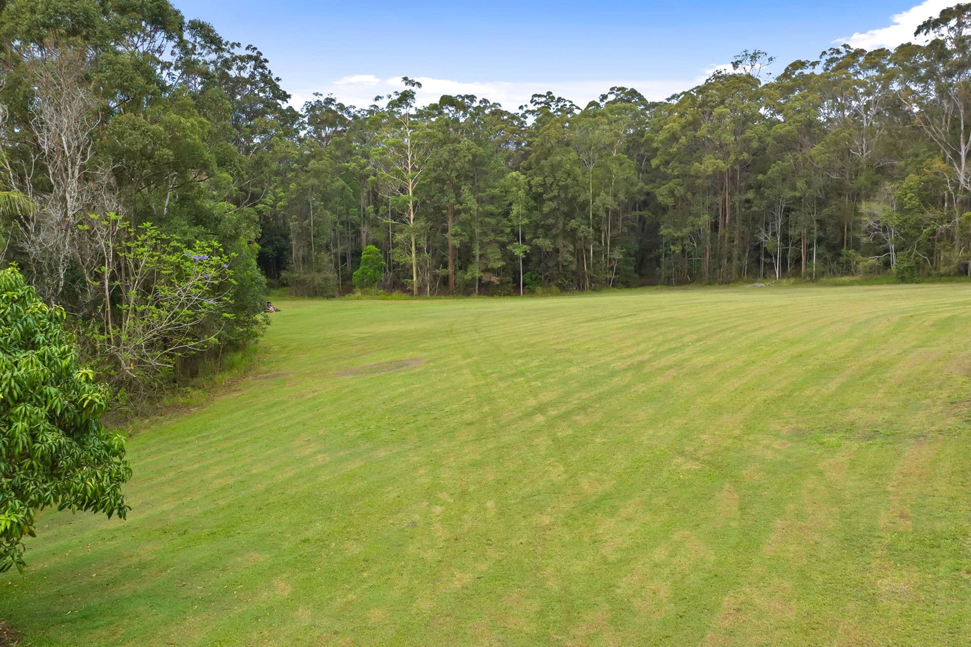 65 Chevallum School Road, Chevallum, QLD, 4555, Chevallum - Thumbnail 6