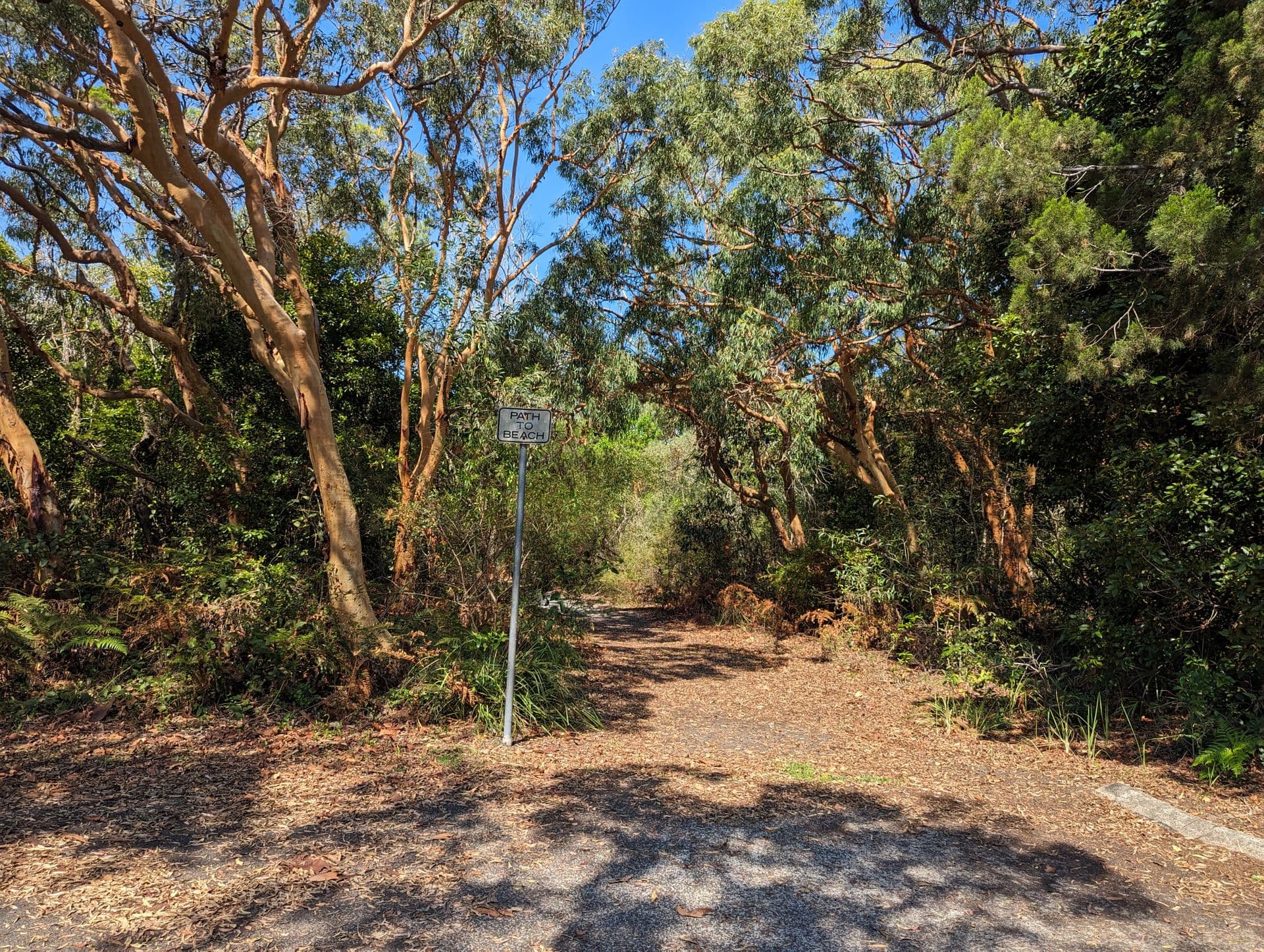 7 Yeri Drive, Rainbow Beach, QLD, 4581, Rainbow Beach - Thumbnail 5