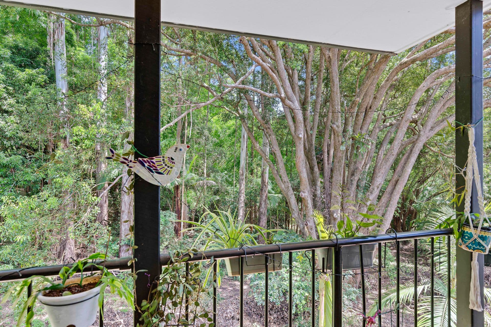 7/9a Washington Street, Nambour, QLD, 4560, Nambour - Thumbnail 6