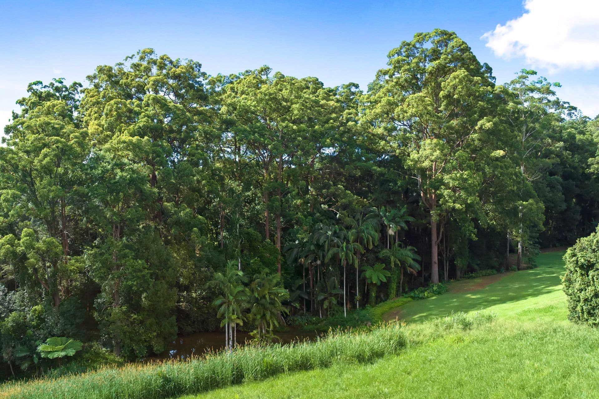 24 Erbacher Road, Nambour, QLD, 4560, Nambour - Thumbnail 5