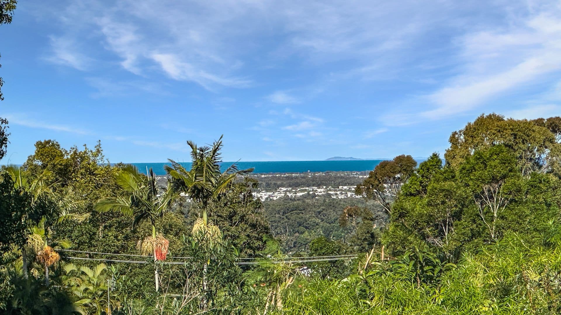 3 Gwynore Court, Buderim, QLD, 4556, Buderim - Thumbnail 4