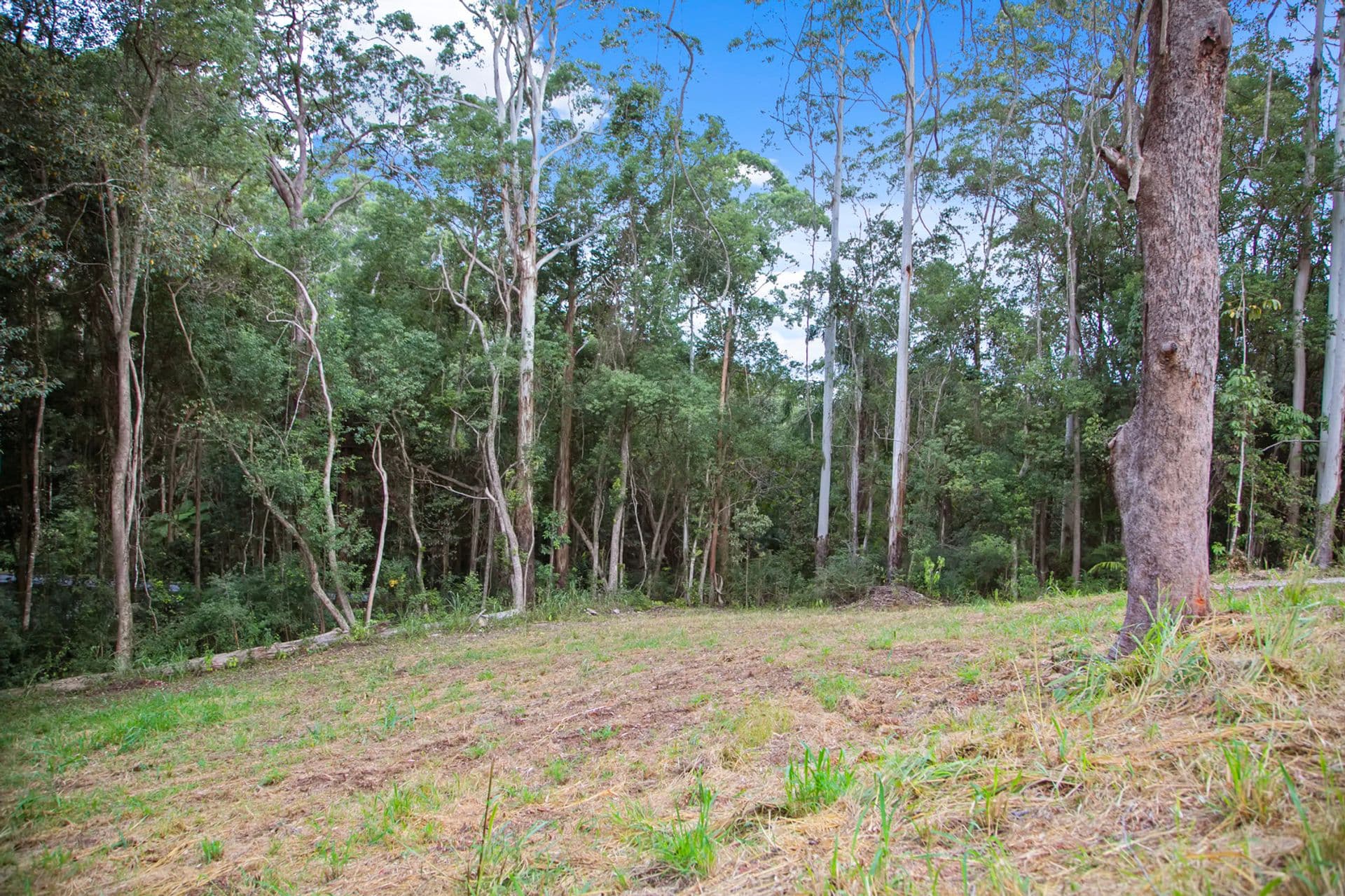 Shop 2/18 Blackall Street, Woombye, QLD, 4559, Woombye - Thumbnail 2