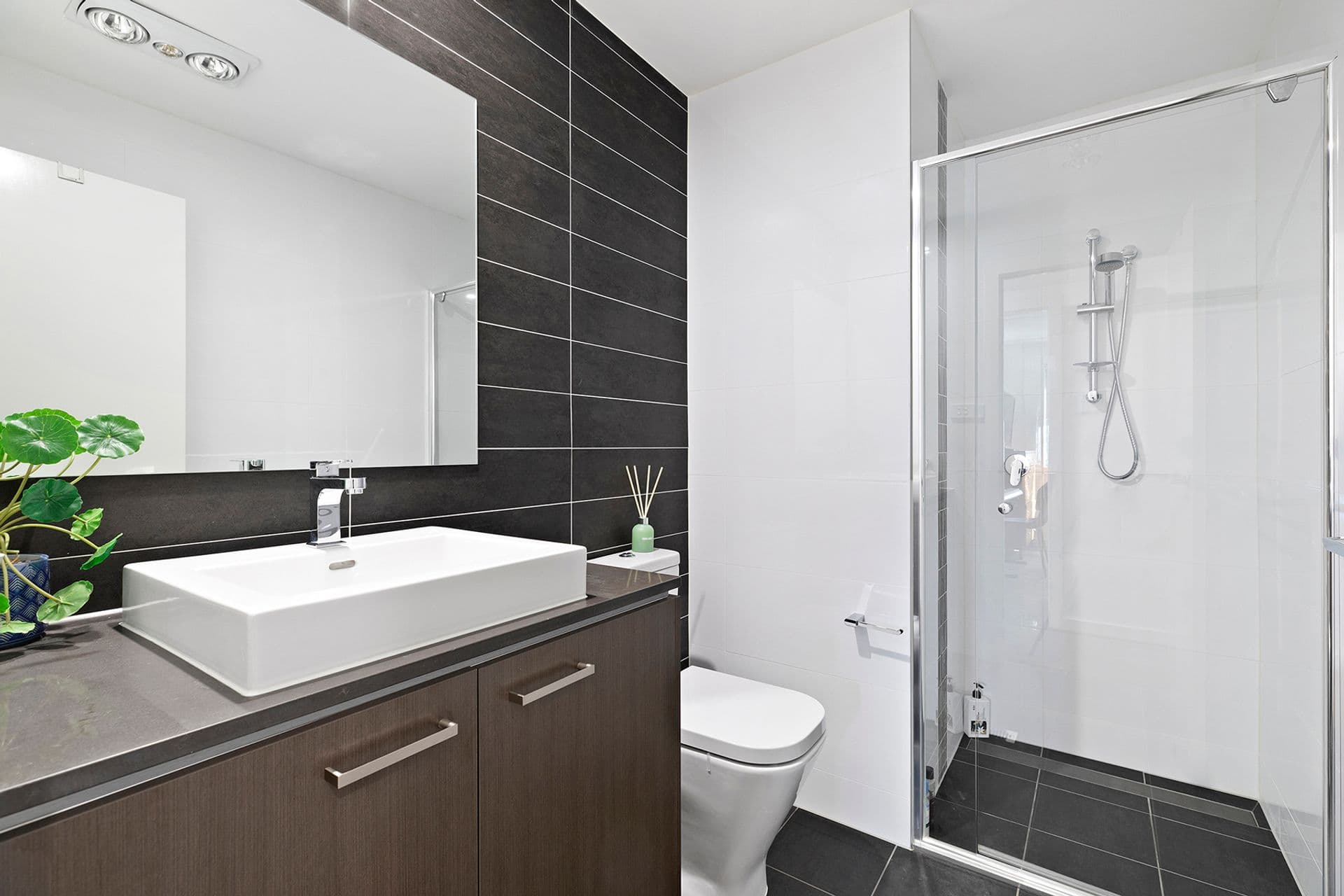 43 Kingsdale Avenue, Catherine Field, NSW, 2557, Catherine Field - Thumbnail 7