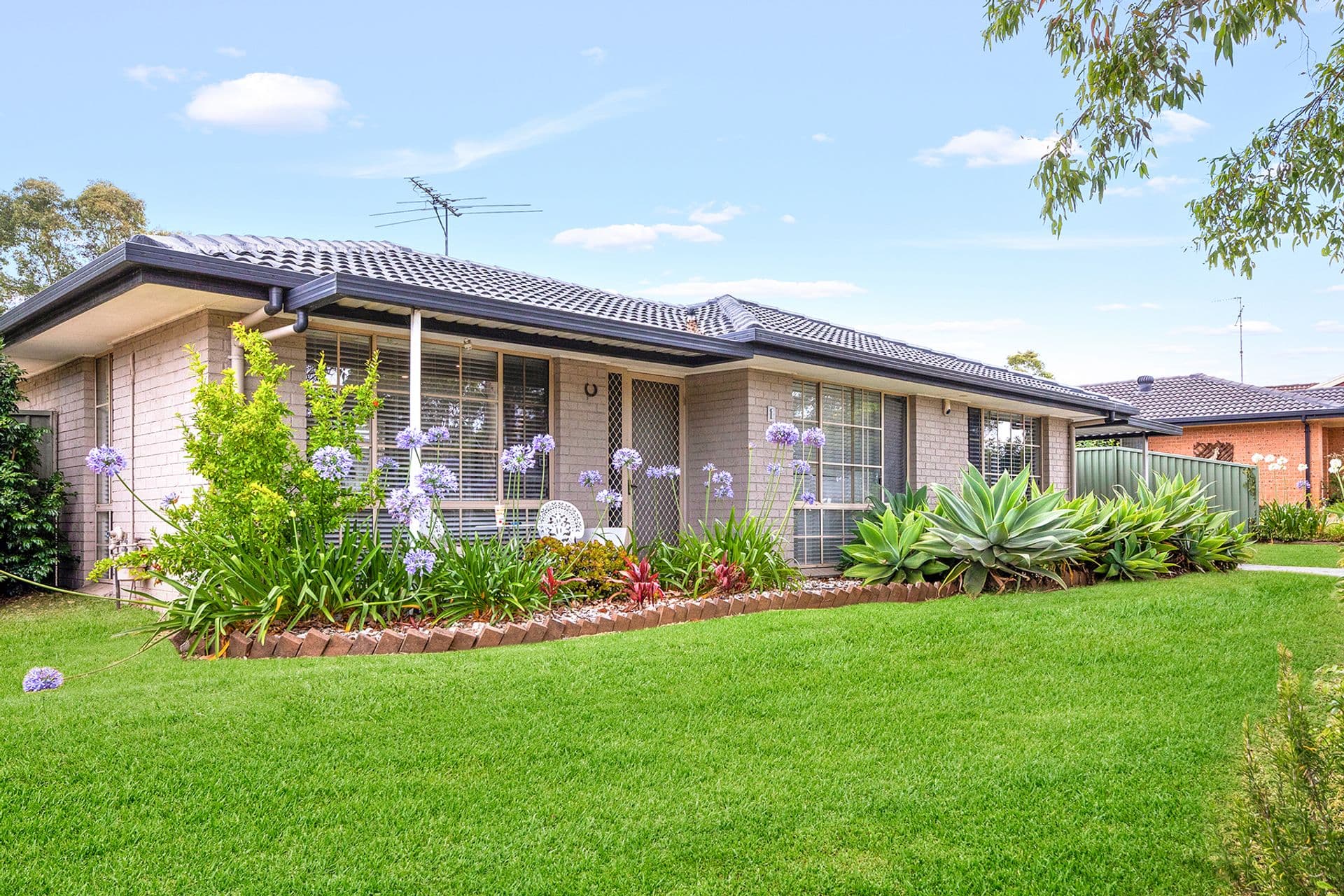 1 Manning Place, Currans Hill, NSW, 2567, Currans Hill - Thumbnail 2