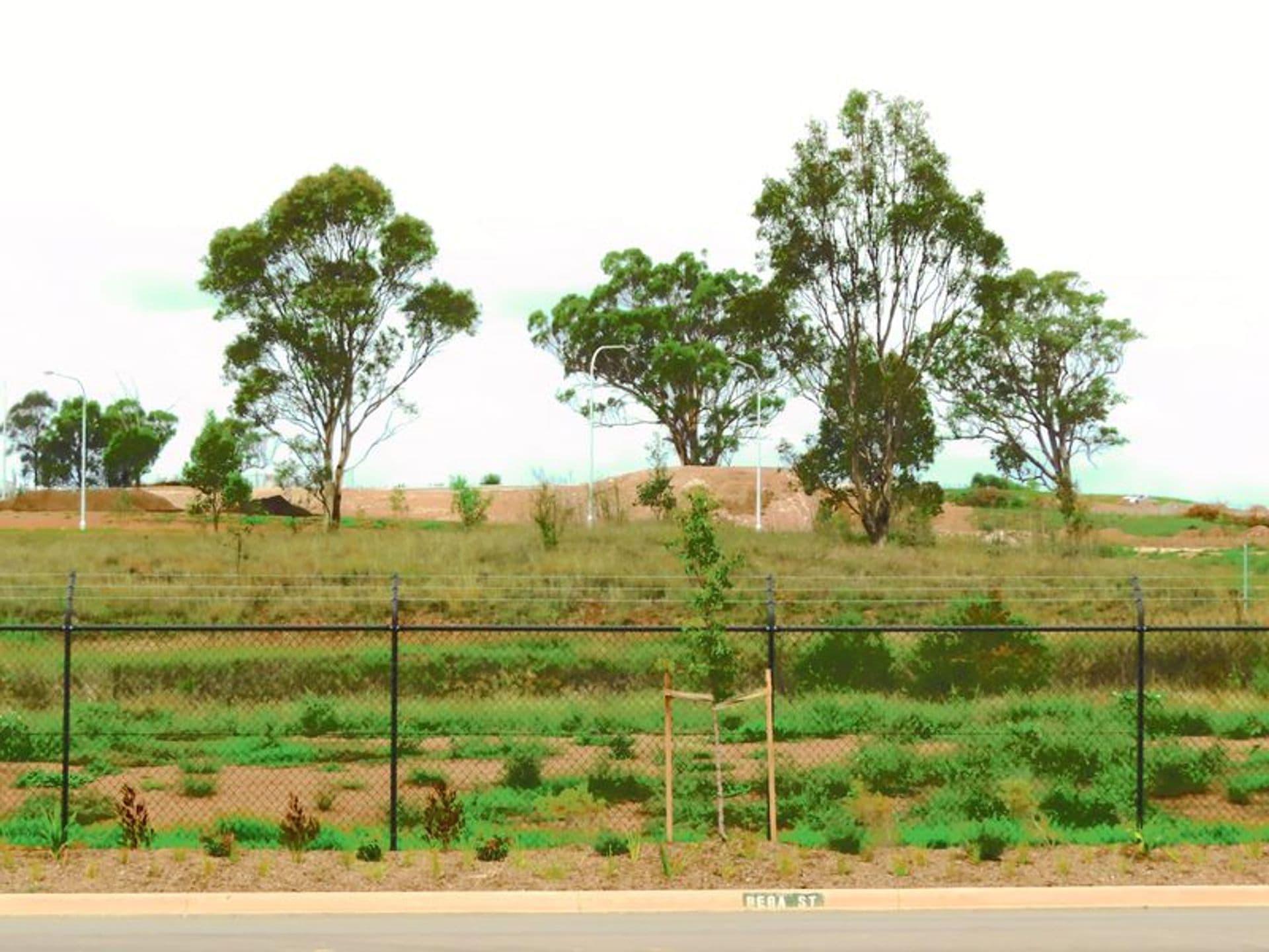 Lot 2081 Bega Street, Gregory Hills, NSW, 2557, Gregory Hills - Thumbnail 3